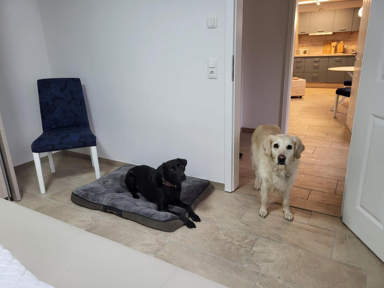 Lanckensburg - Ferienwohnung 2