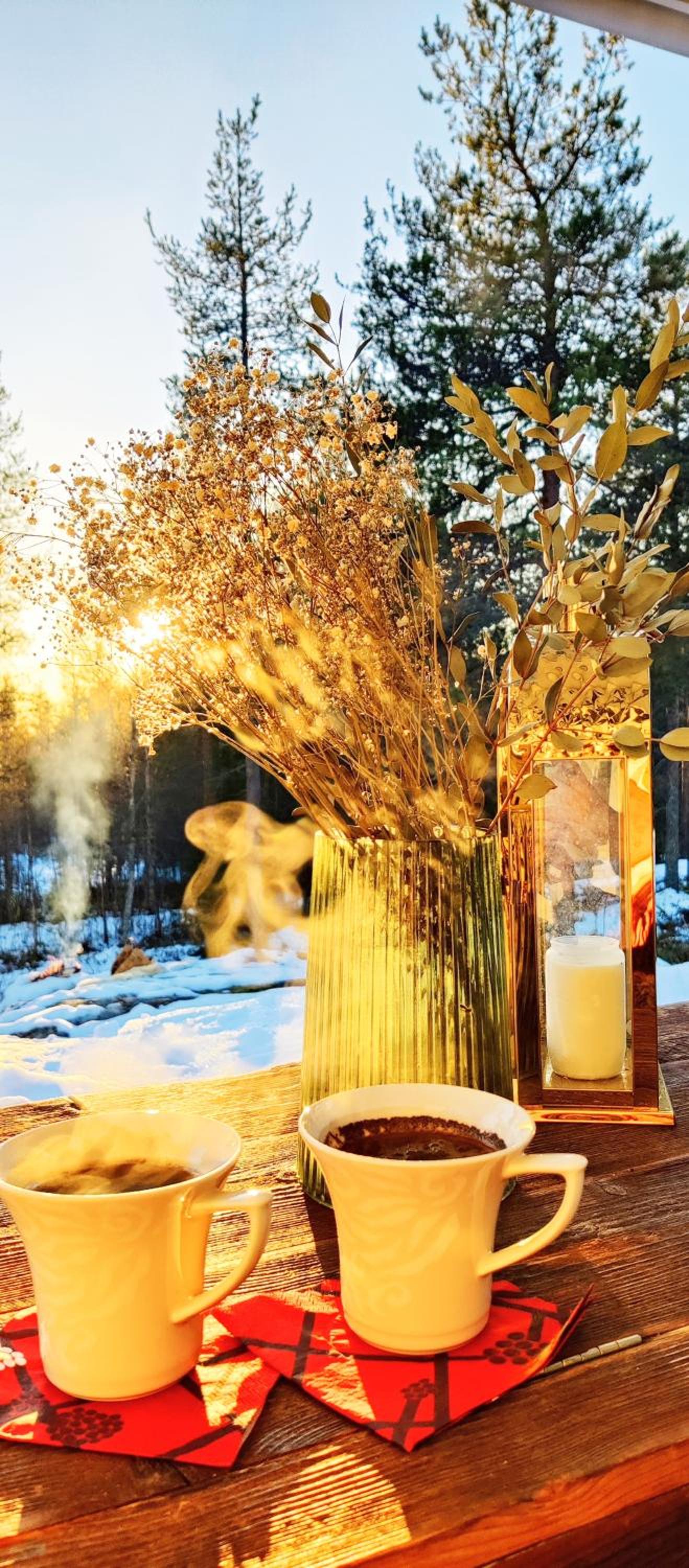 Nordic Villa in Rovaniemi with a Private Sledding Hill, Sauna & Cozy Family Stay