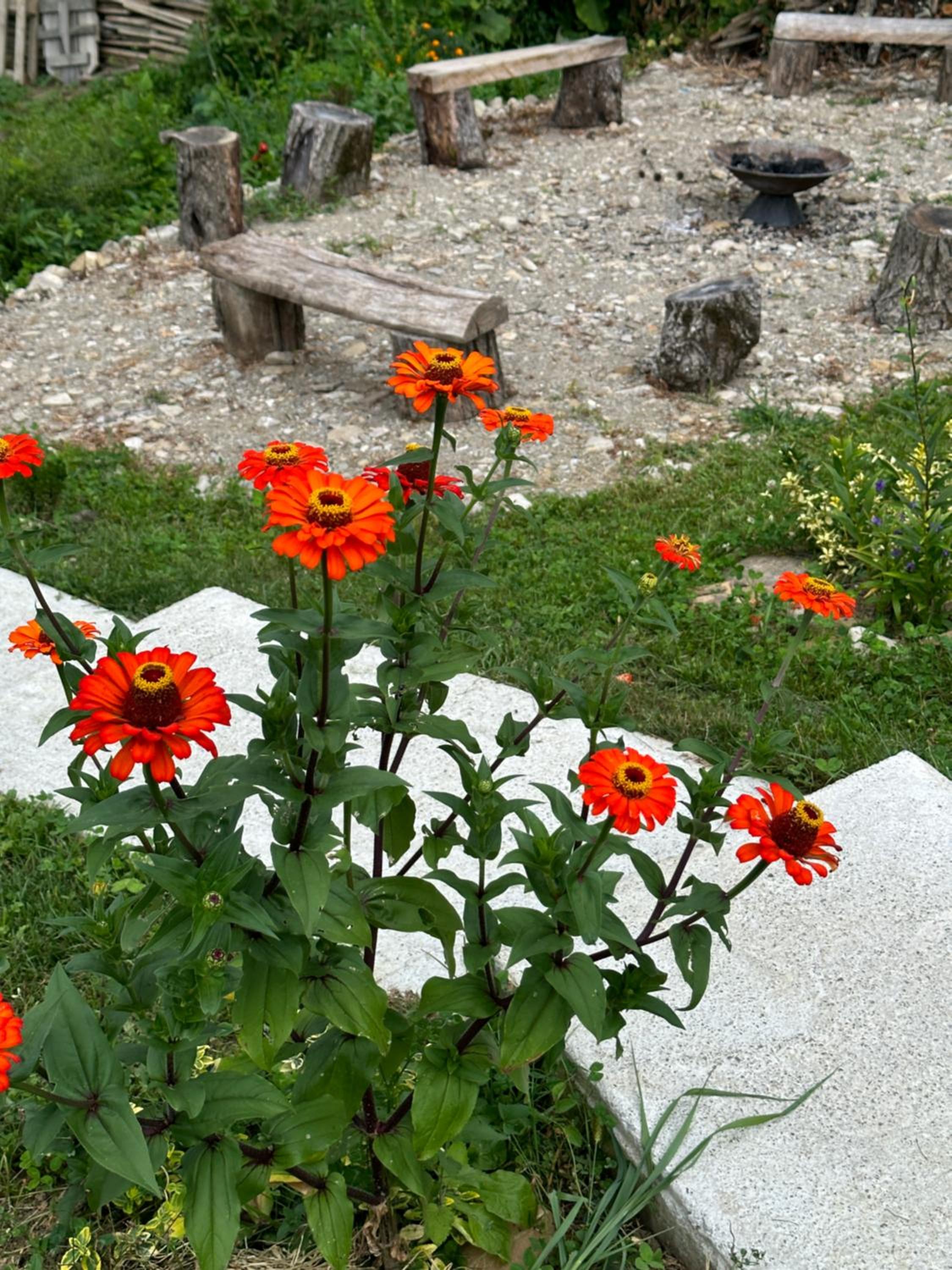 Photo 47