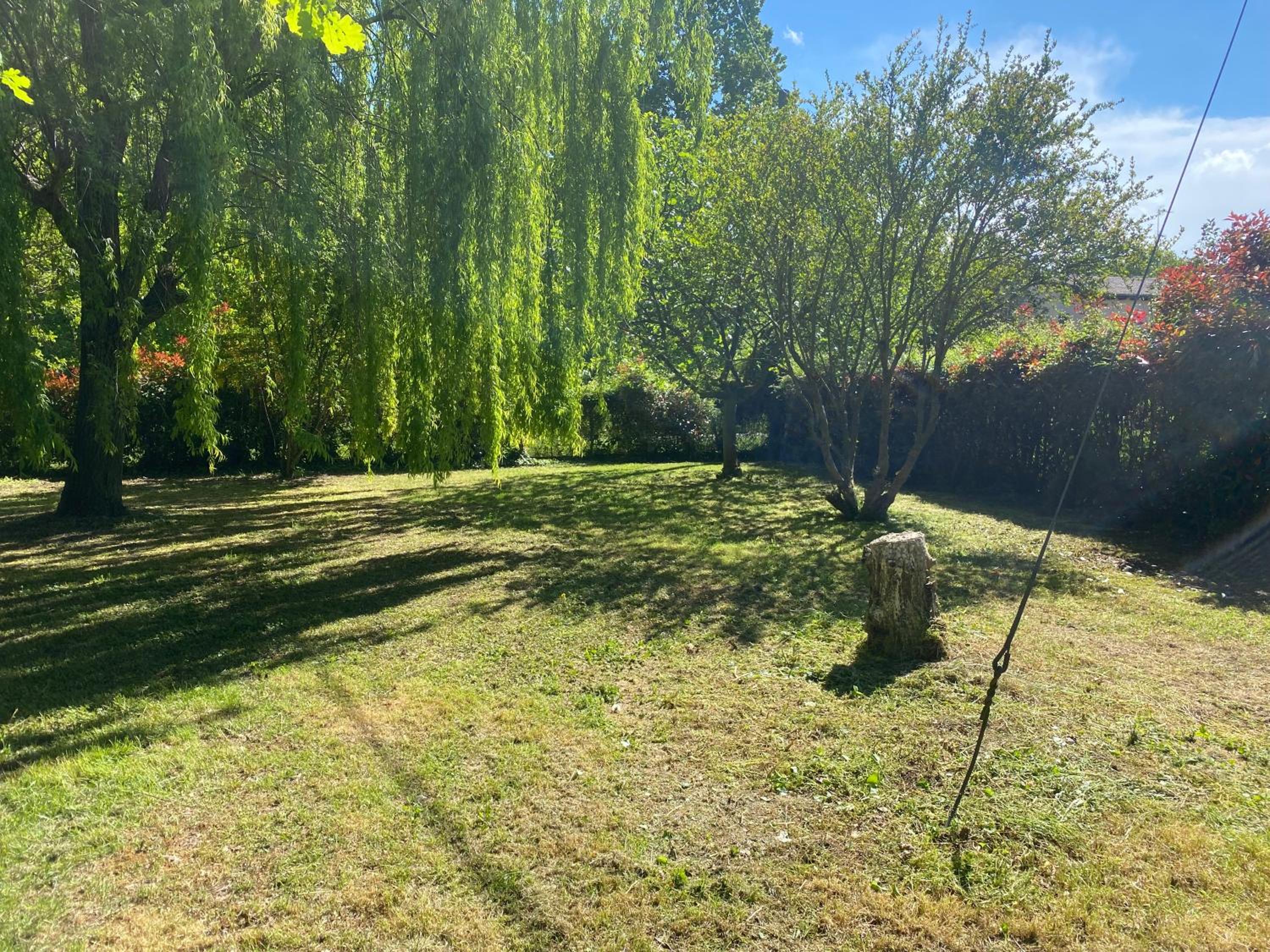 Photo 31