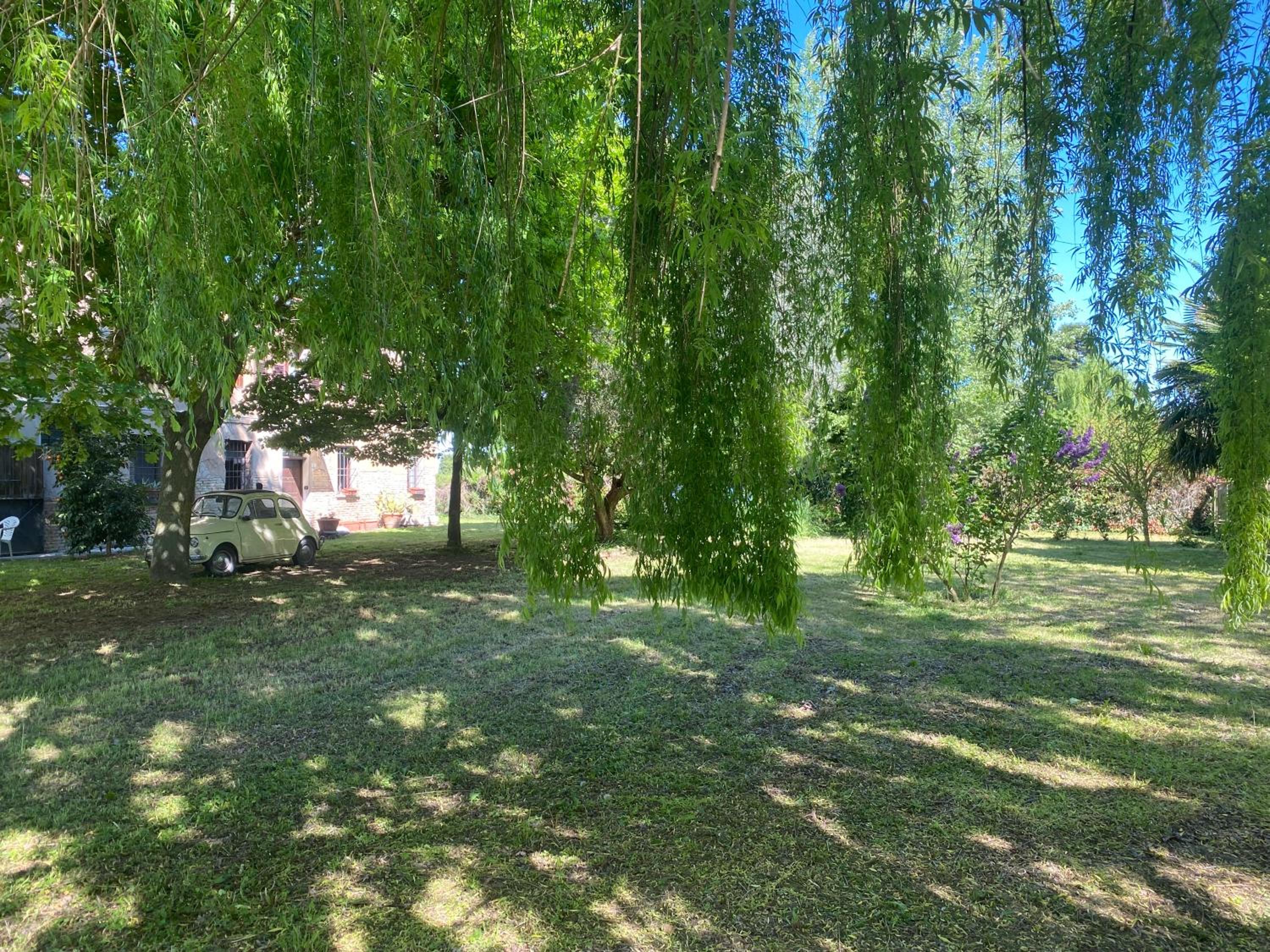 Photo 30