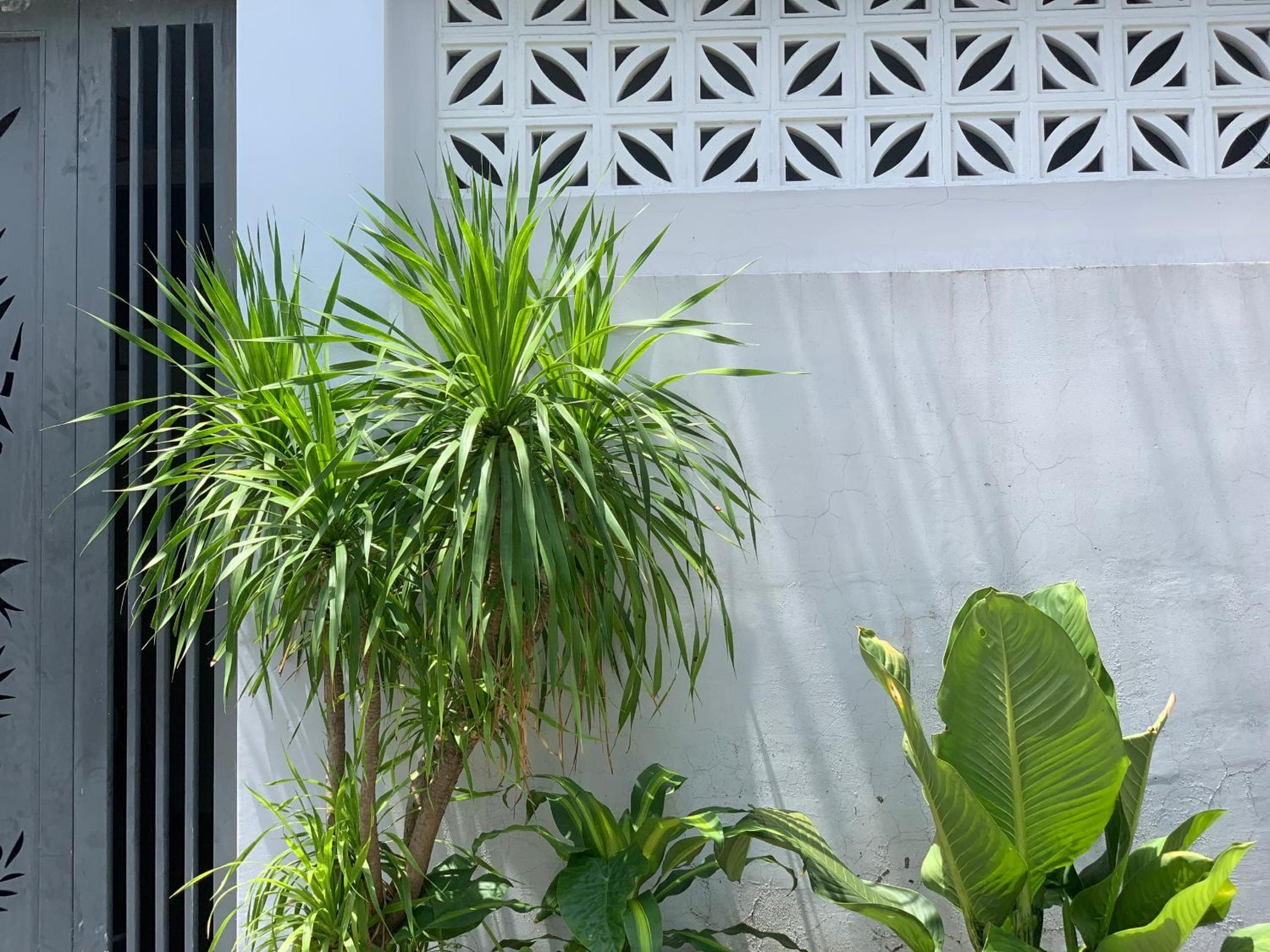 TINA HOUSE Apartment