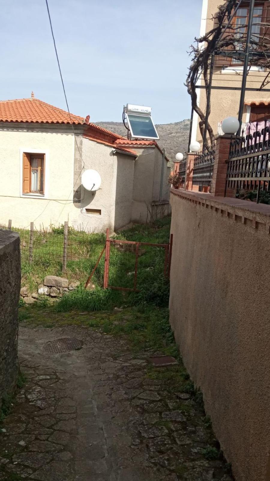 Photo 29