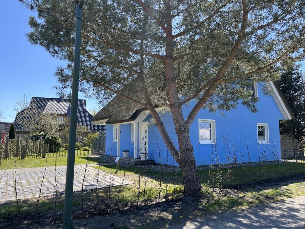 Ferienhaus De niege Leive