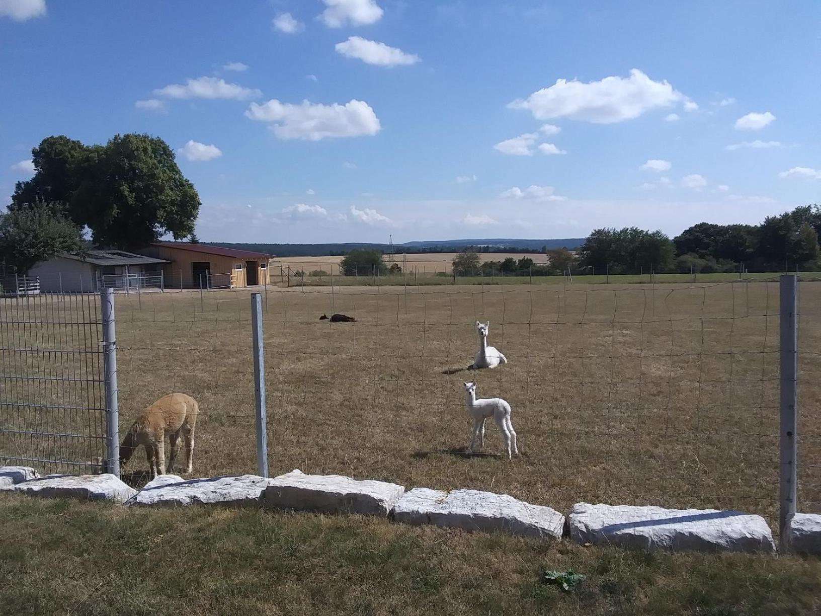Auszeit-Räumlichkeiten