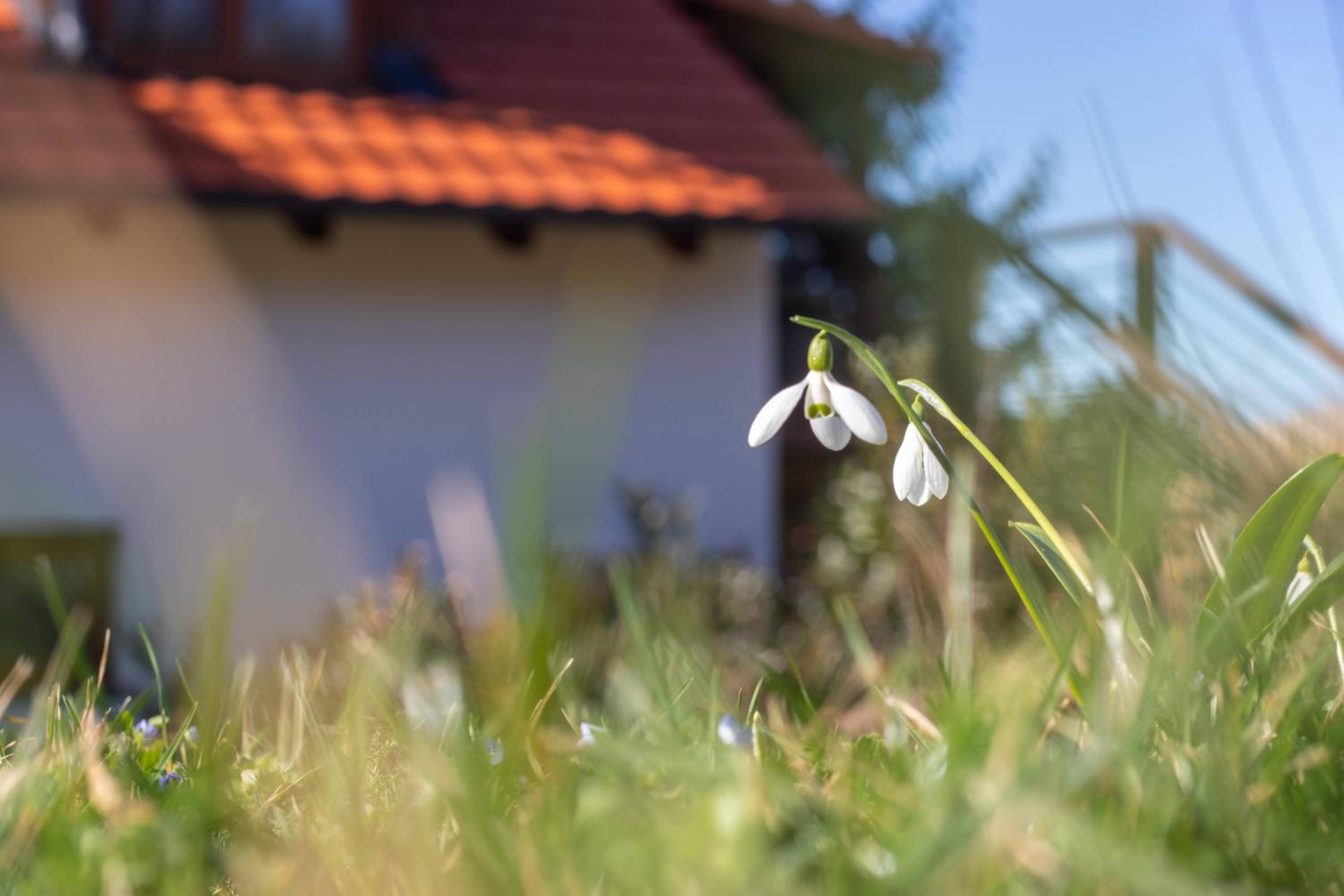 Pod Vojtěchem - soukromý wellness apartmán