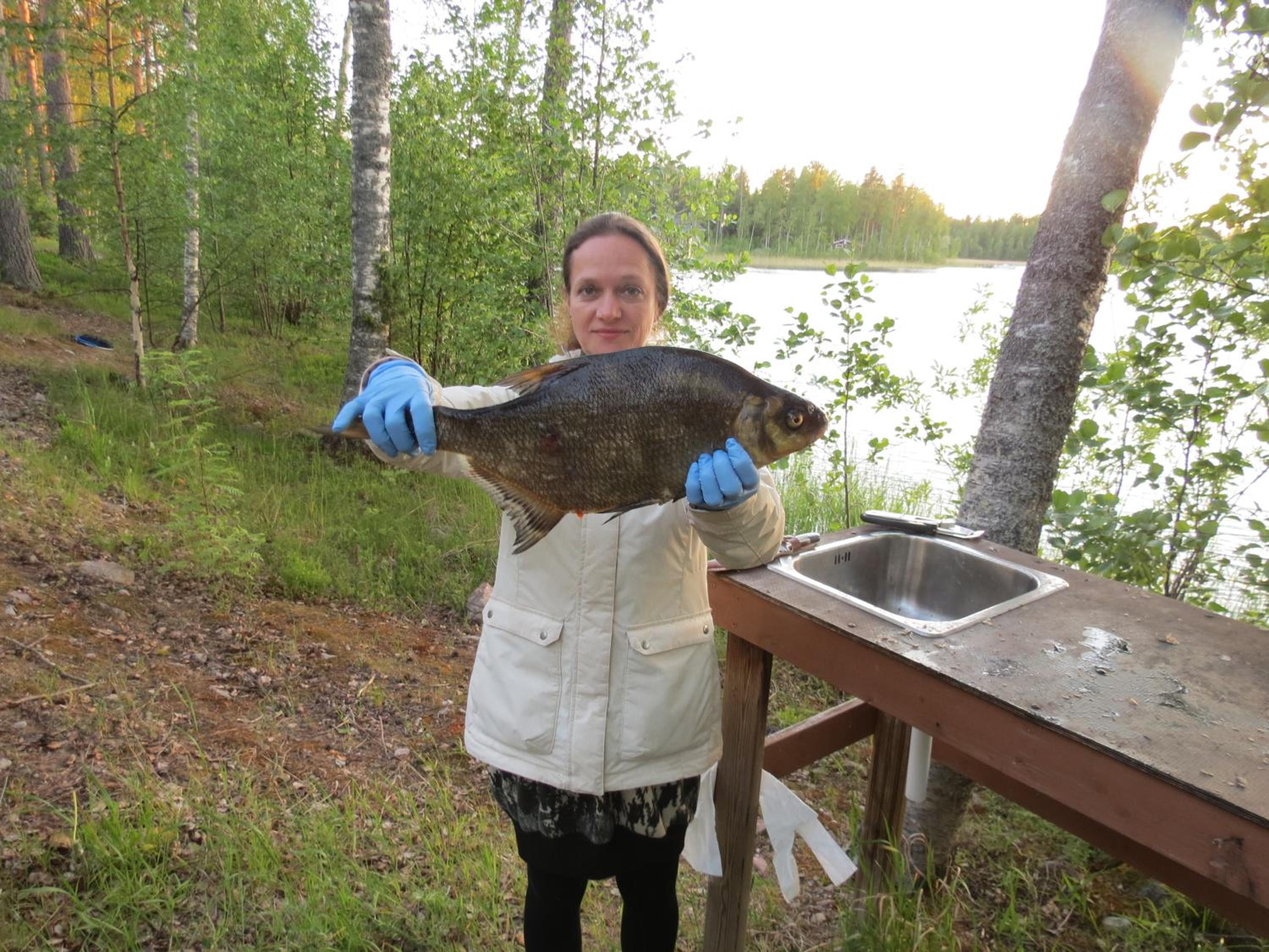 Saimaa Lakeside