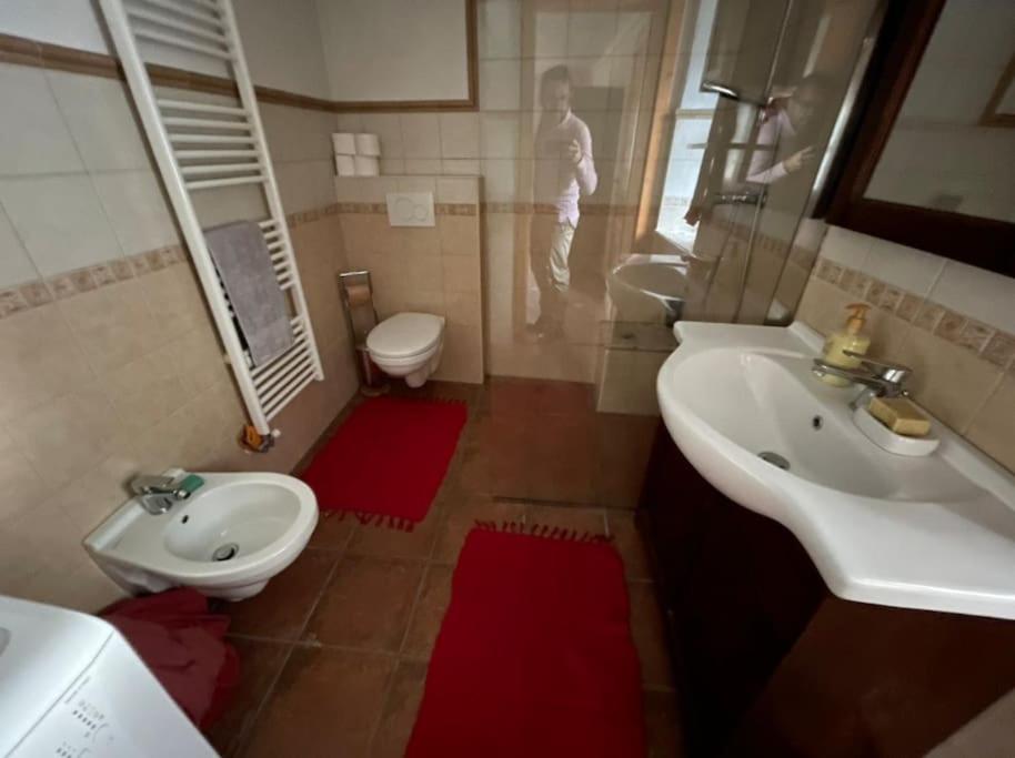 Traditional Slovenian house view 5