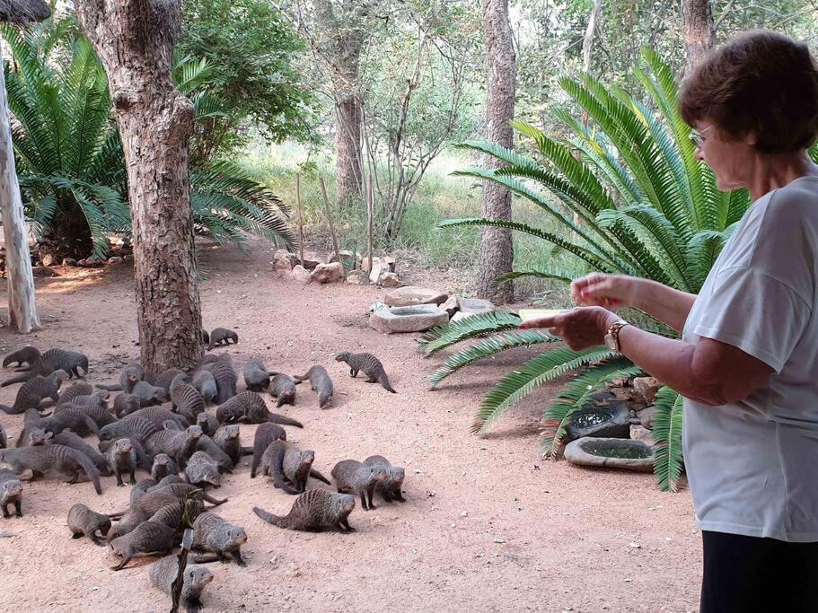 Mongoose Haven