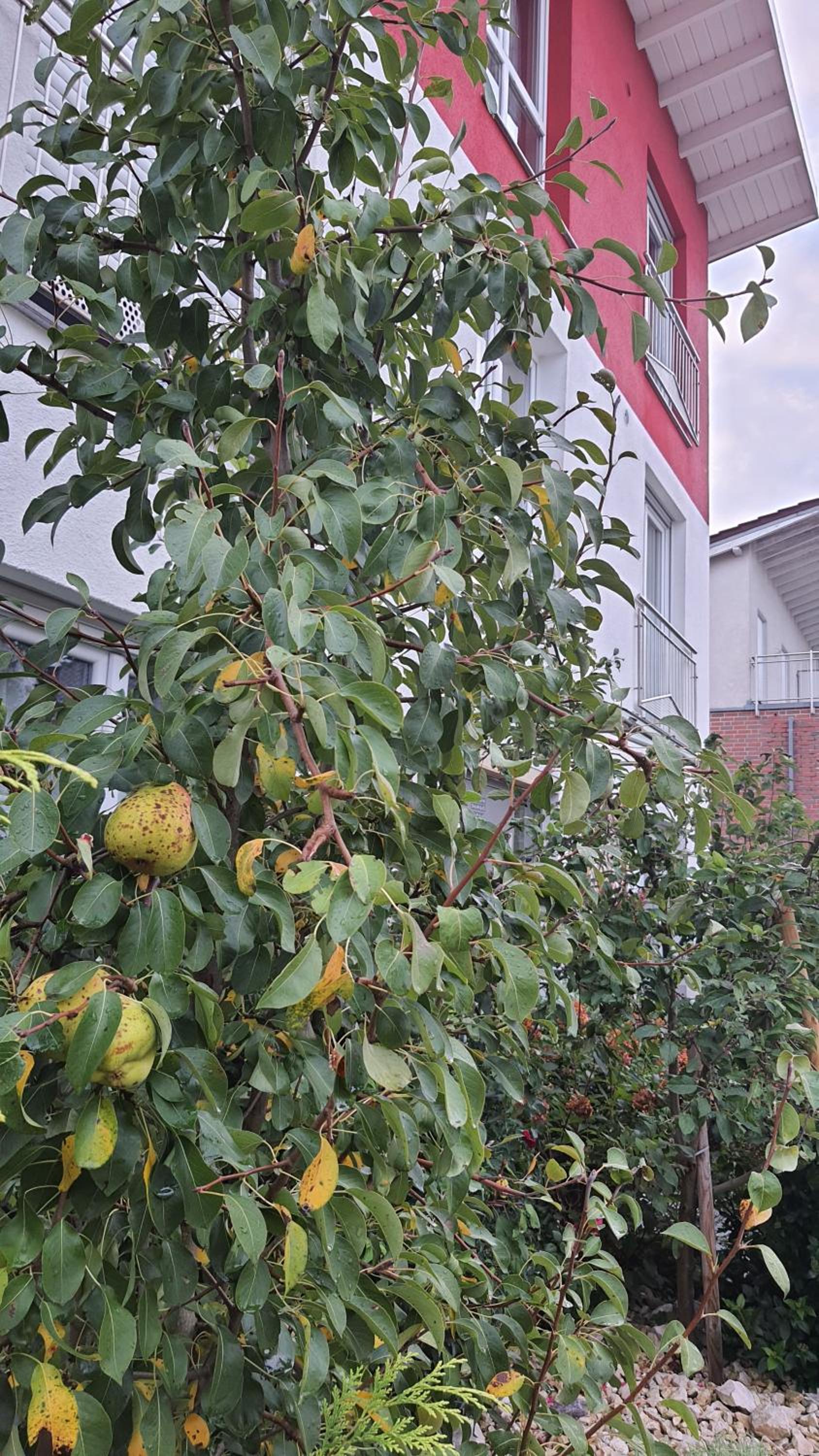 Helle Wohnung mit Balkon 120qm, 4Zimmer