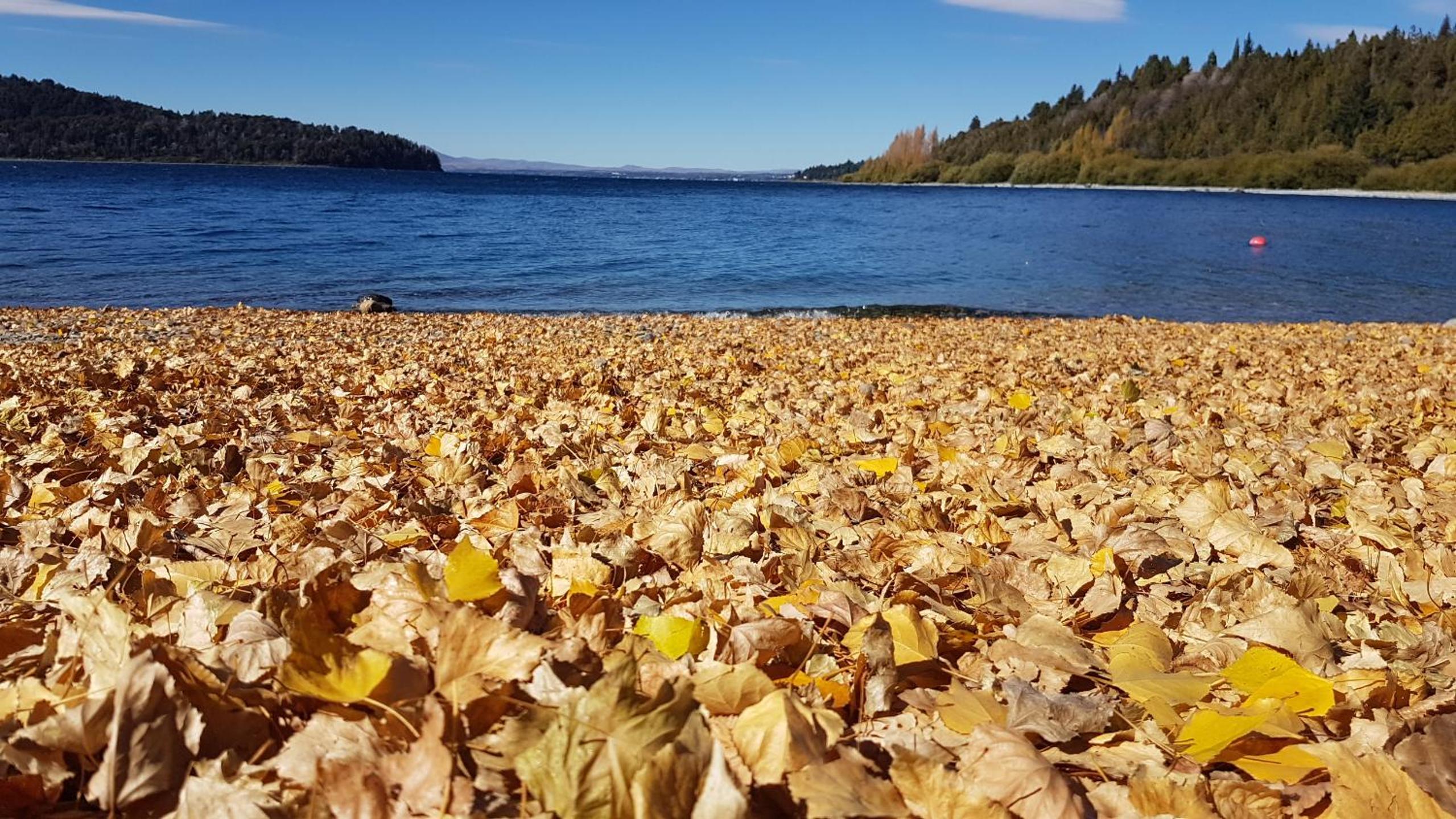Confortable y hermosa casa en Bariloche