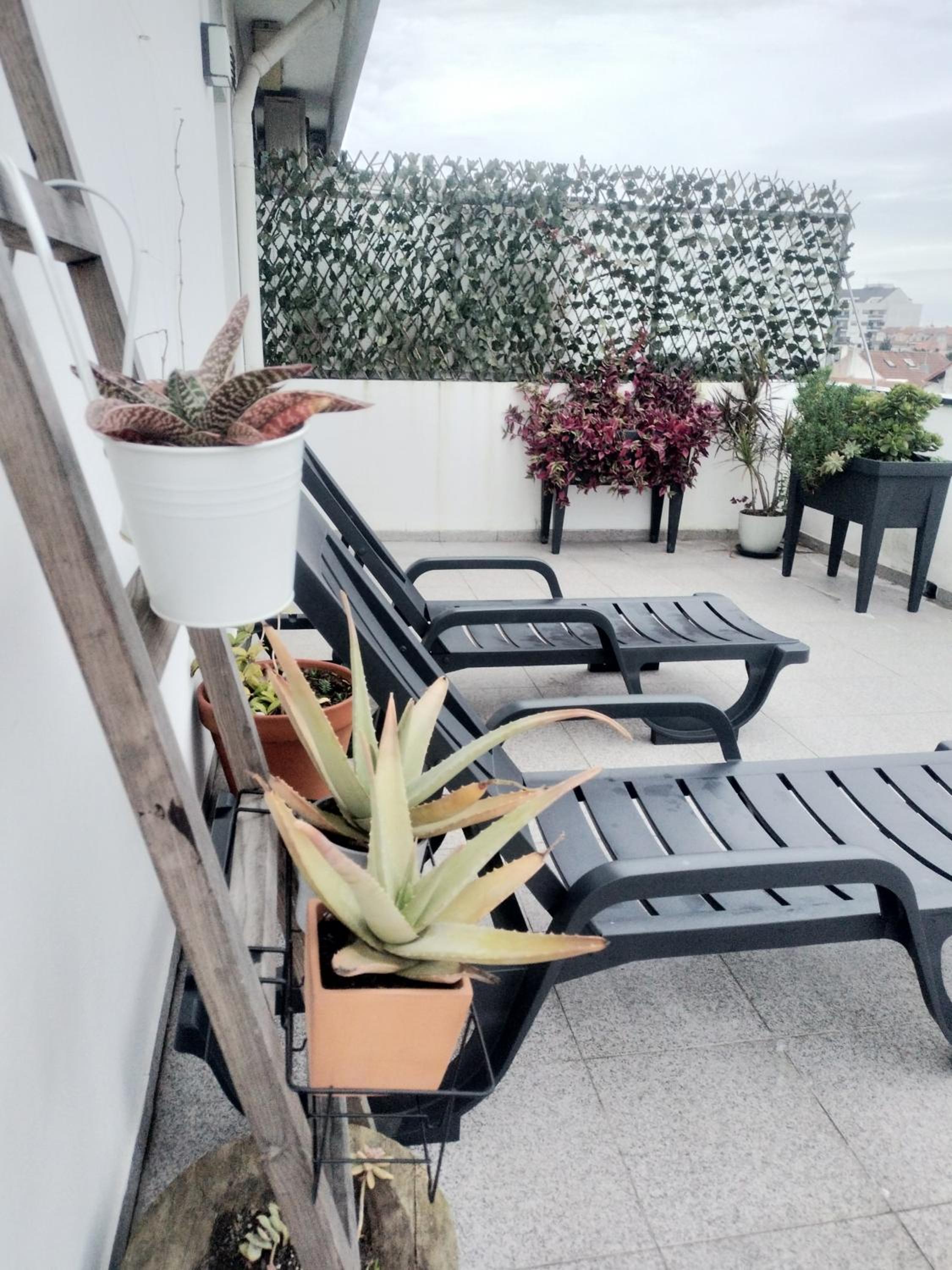 roof