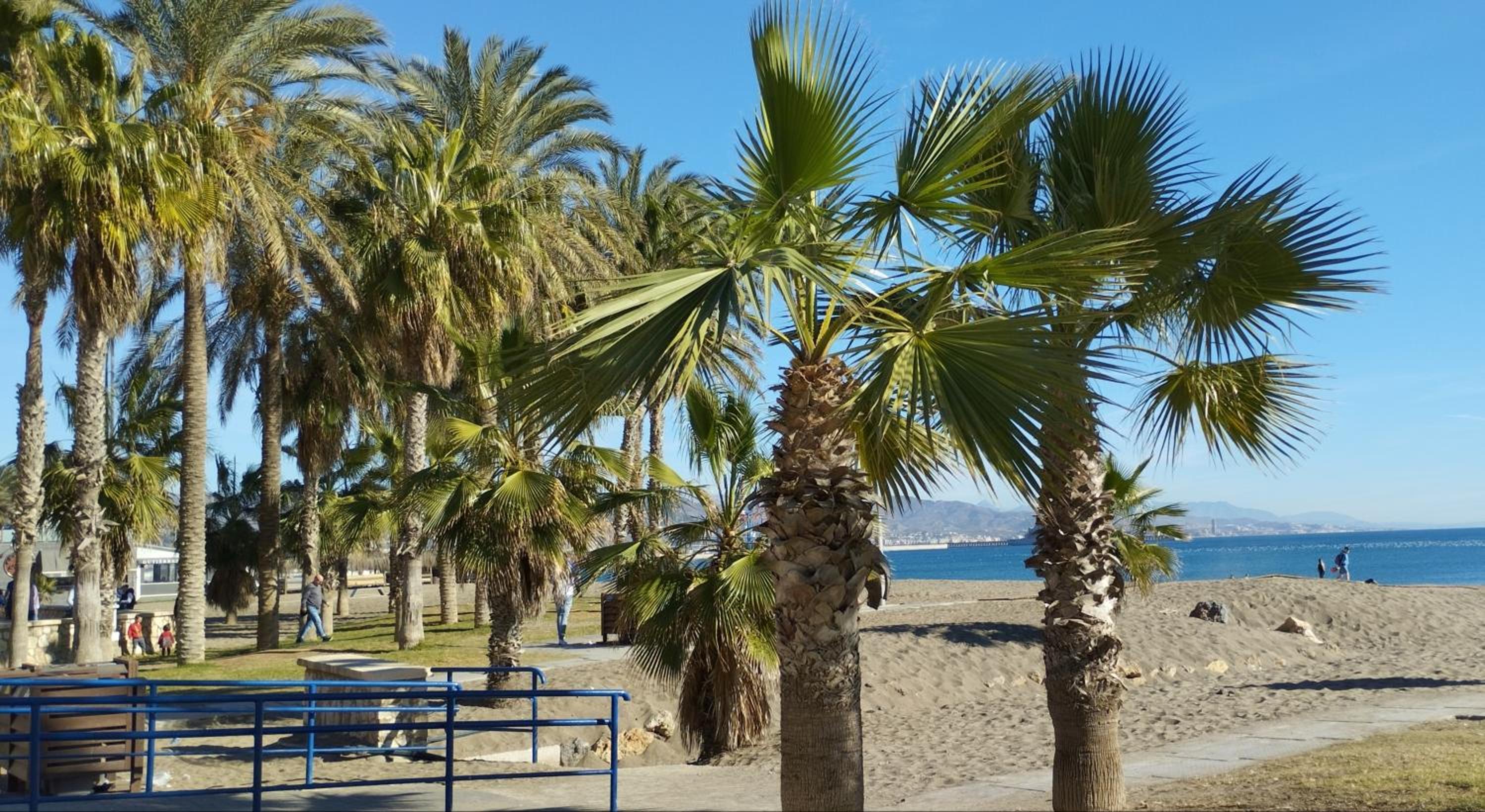 La Paloma - Girón
