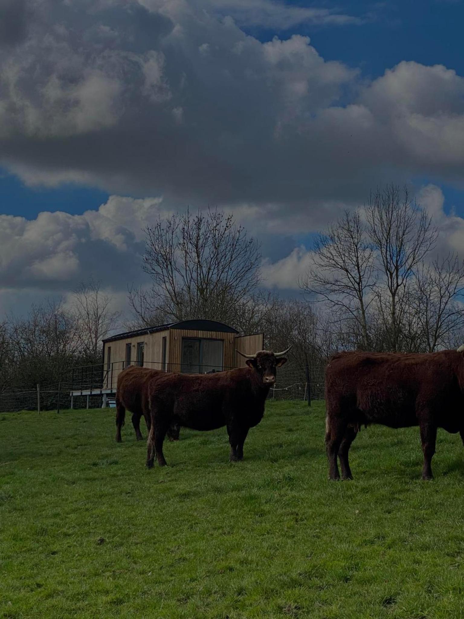 Au p'tit pré des salers