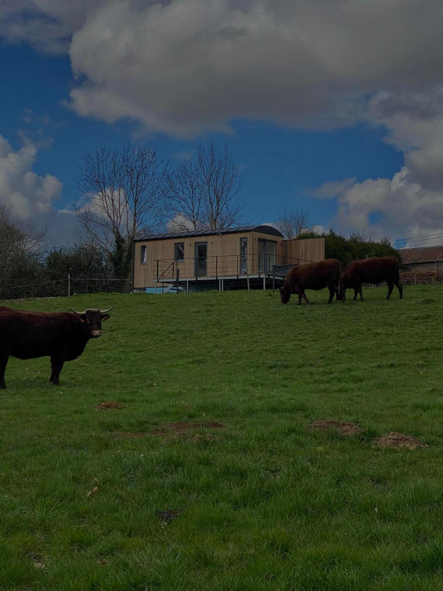 Au p'tit pré des salers
