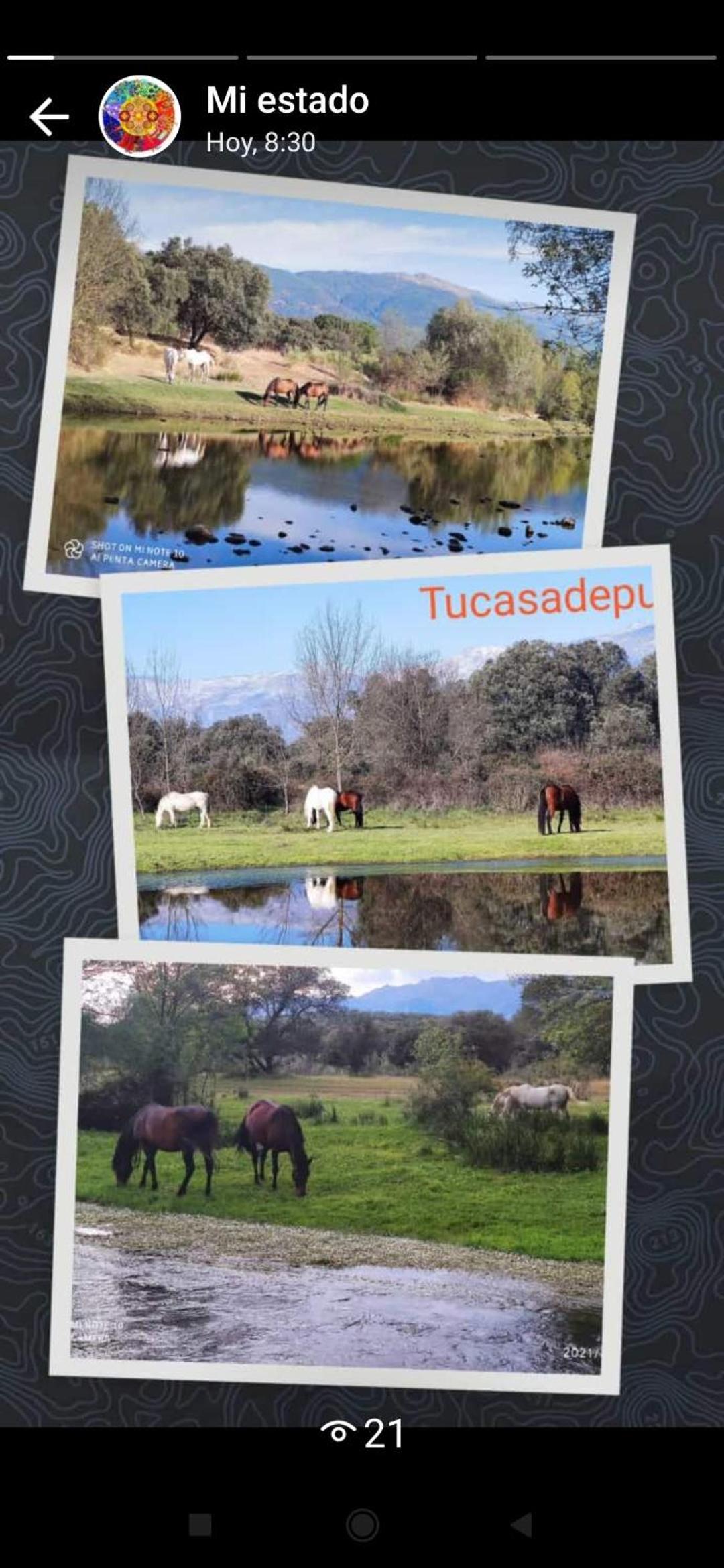 Tu Casa de Pueblo view 3