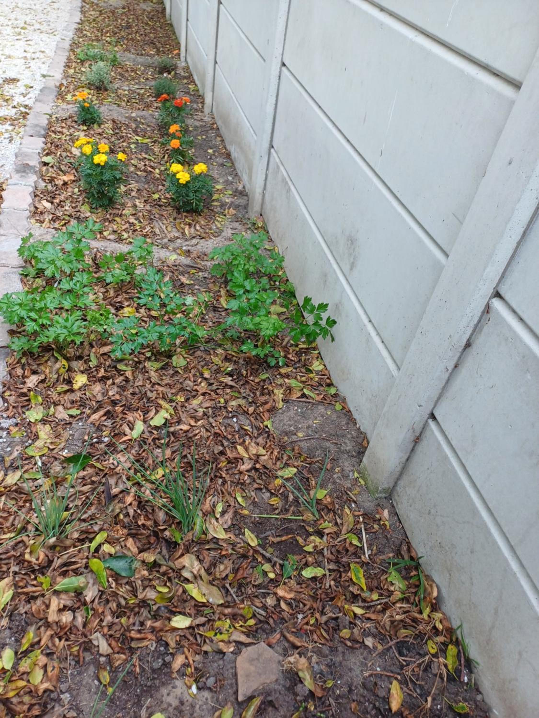 Photo 48