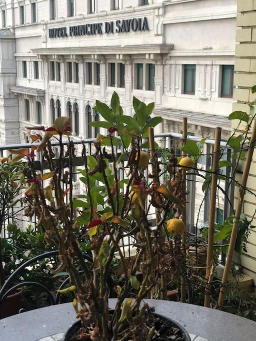 centro extra luxory apartment with terrace