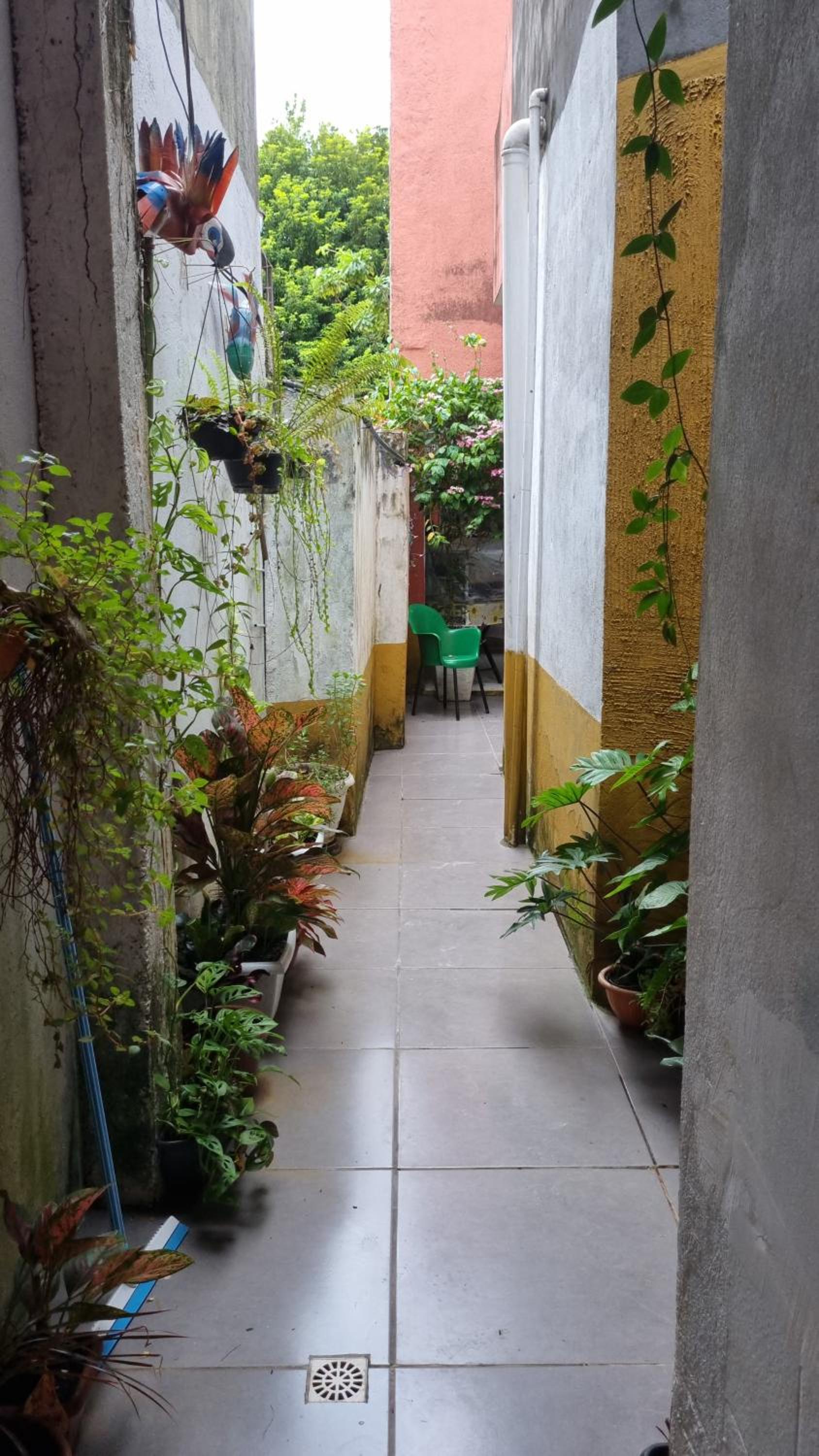 Photo 48