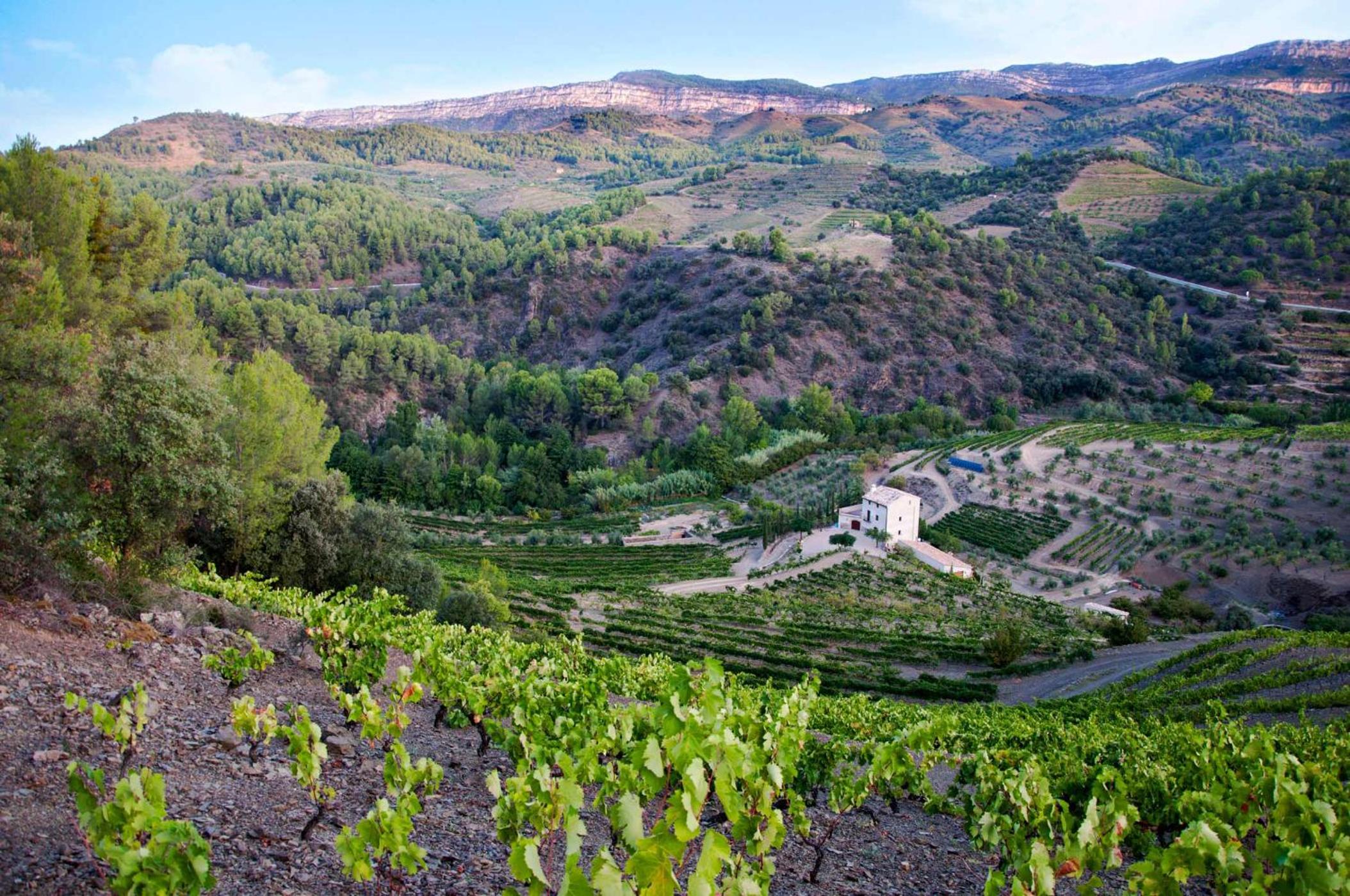 MAS ALSERA. Masoveria d'Agroturisme