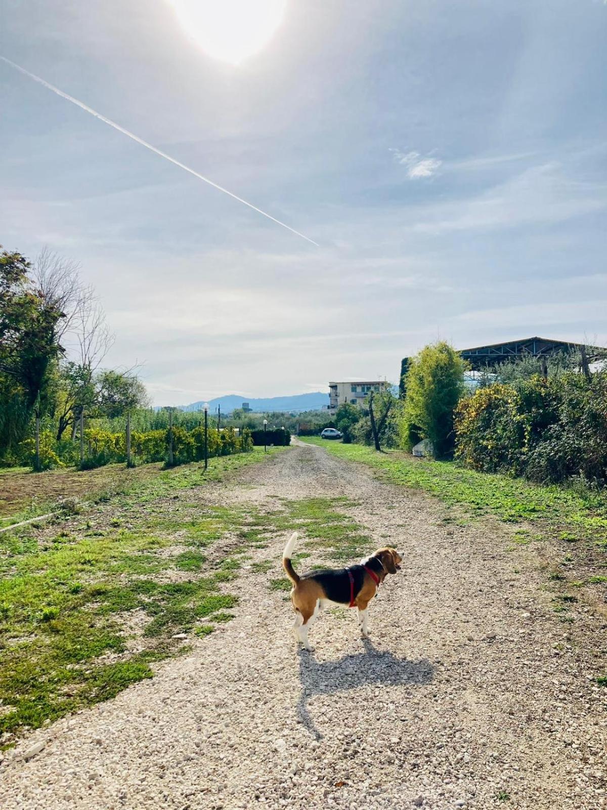 Villa Bubù, Appartamento Country-chic