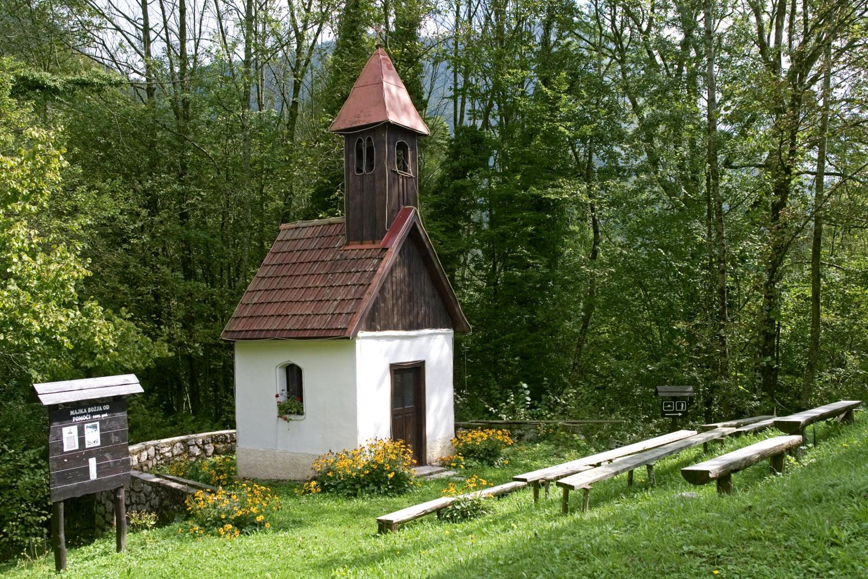 Photo 41