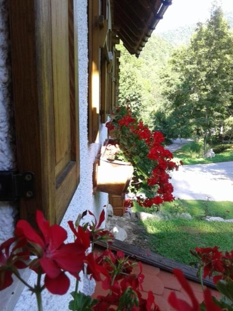 Photo 44