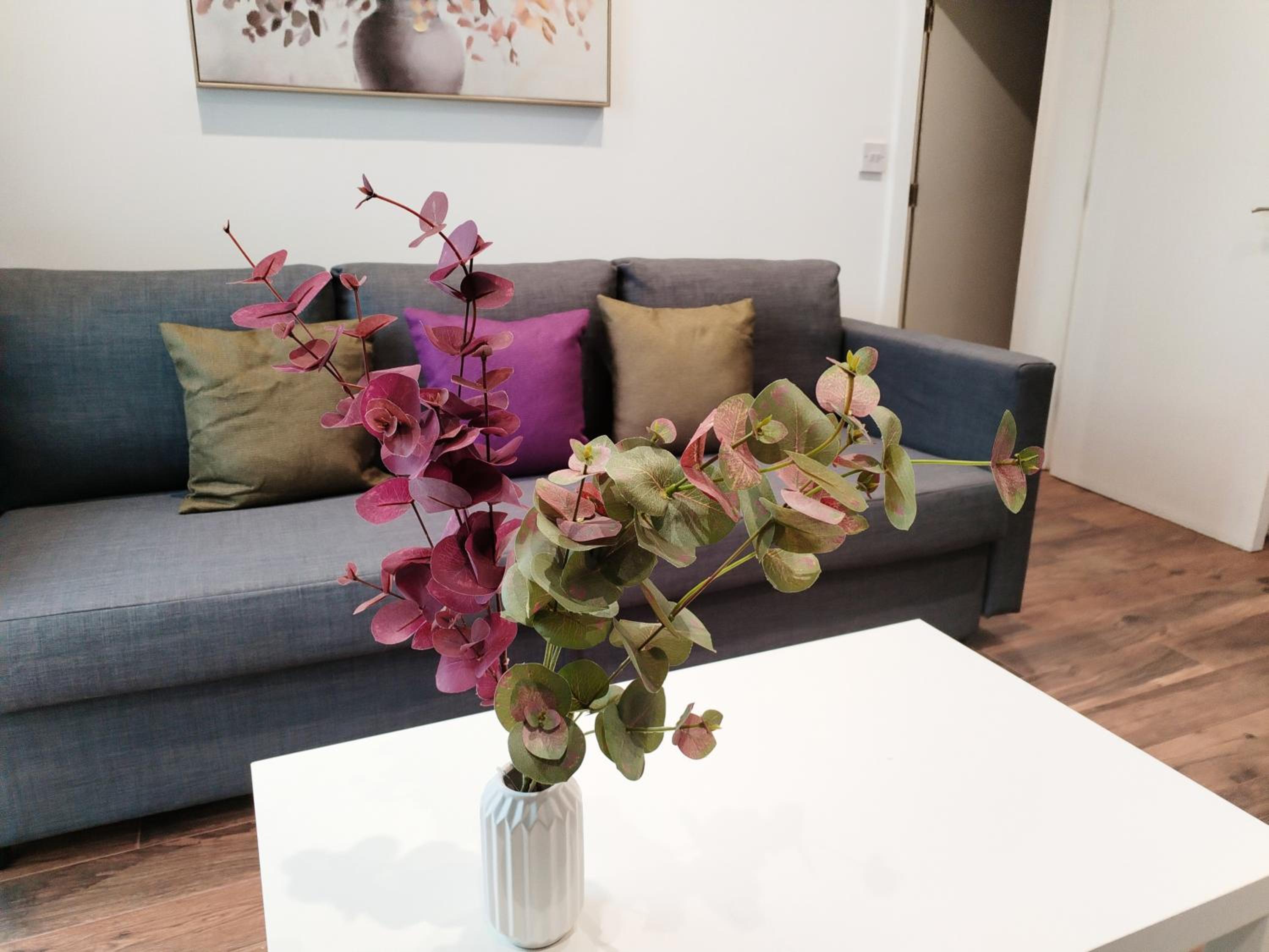 Luxury apartment near London centre, near train station, E1