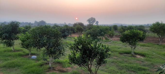 Parikalp farmstay