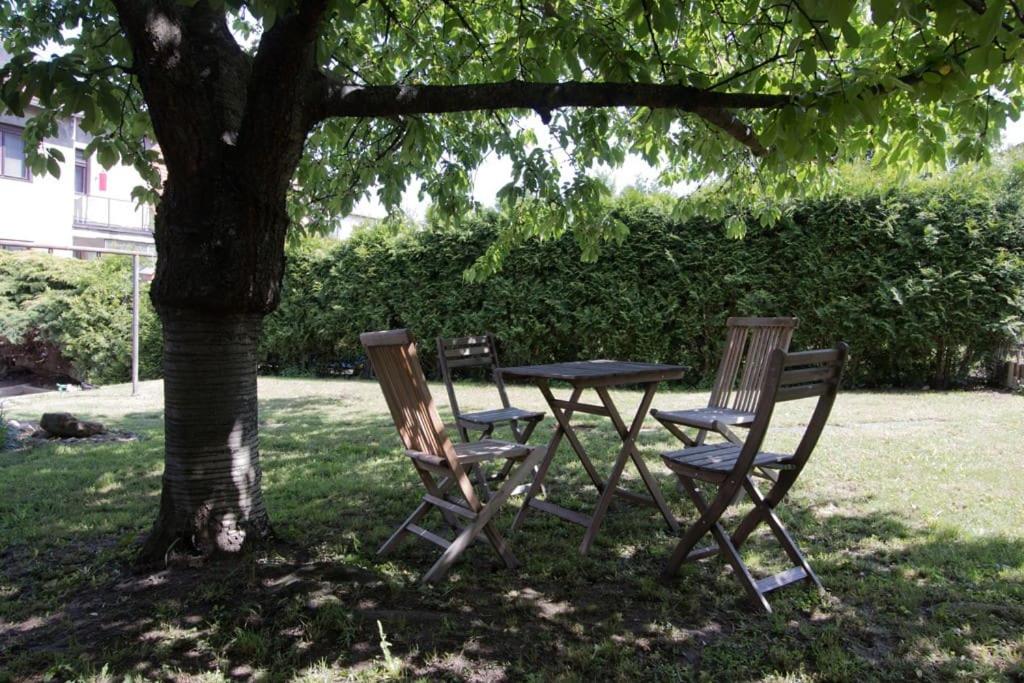 Casa Linum. U centra Zlína s atmosférou venkova.