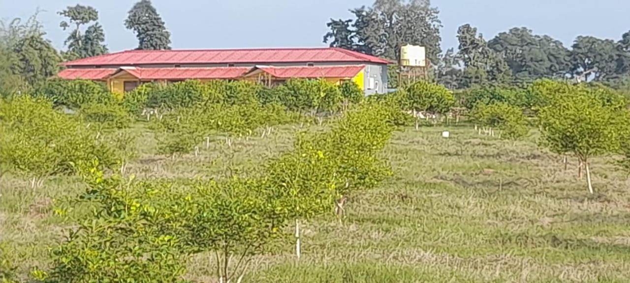 Parikalp farmstay