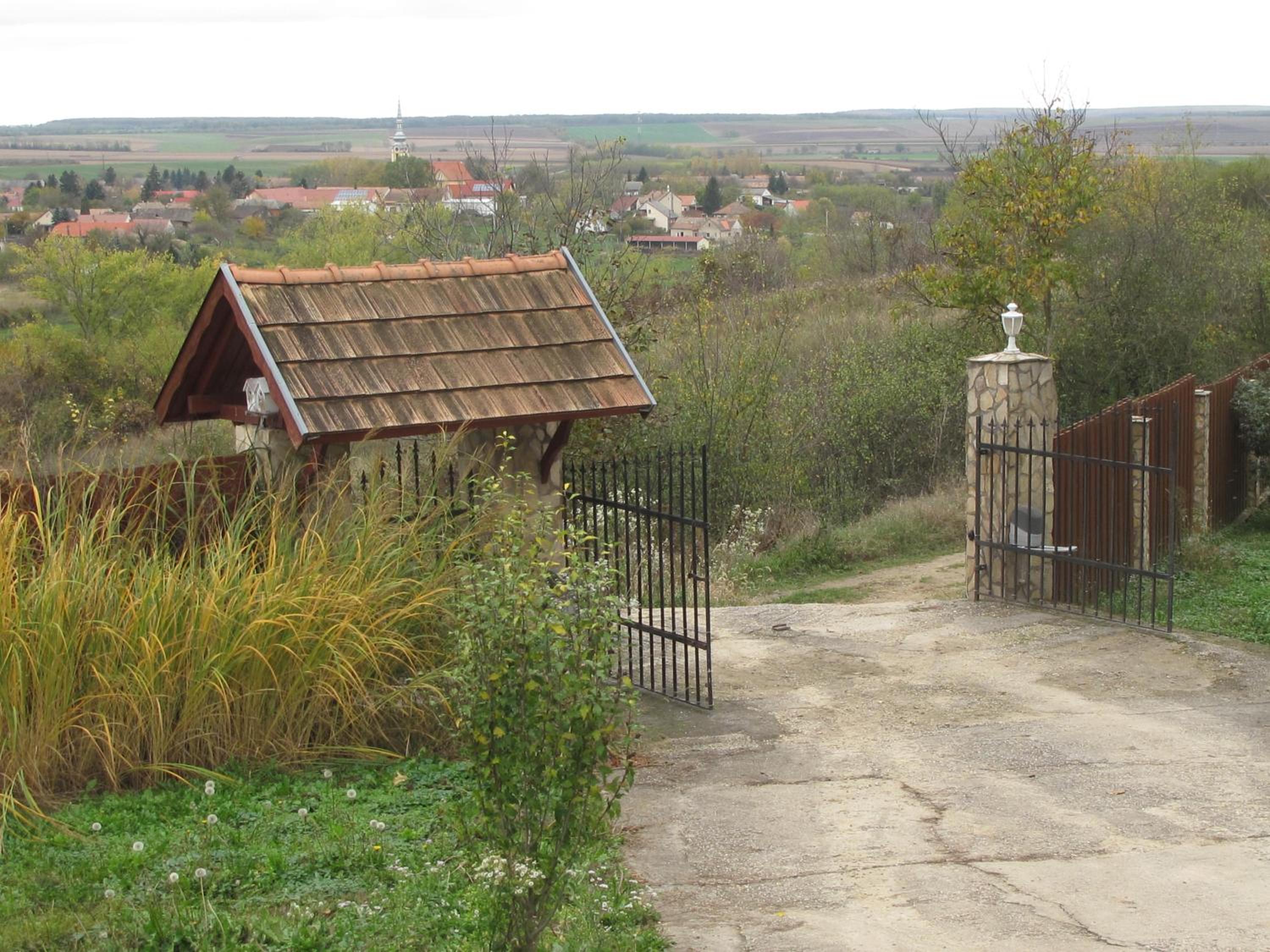 De Wijnberg view 2