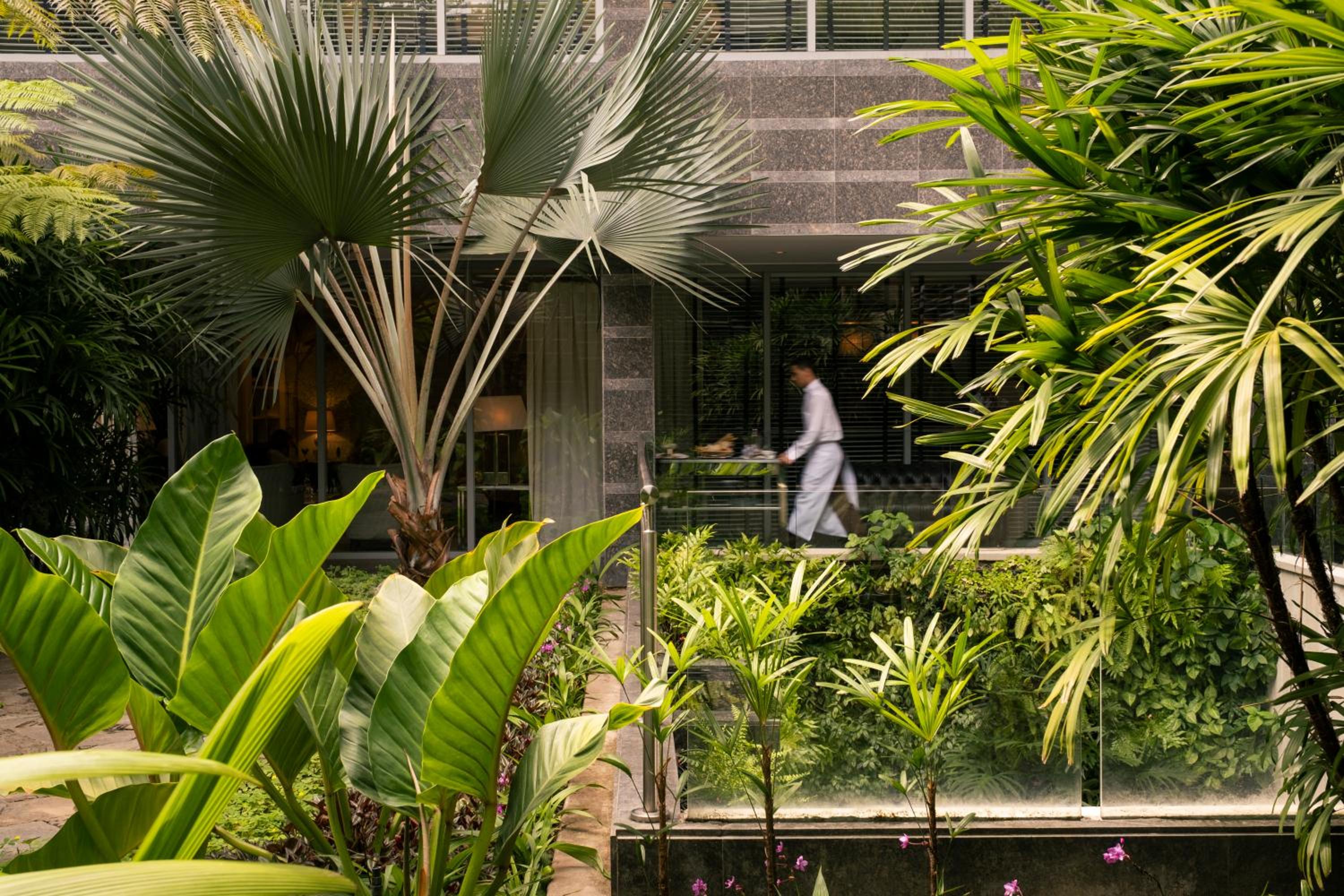 Caracas Vacations - Cayena-Caracas - Property Image 35