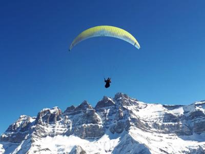 Alpage Immo Location Service