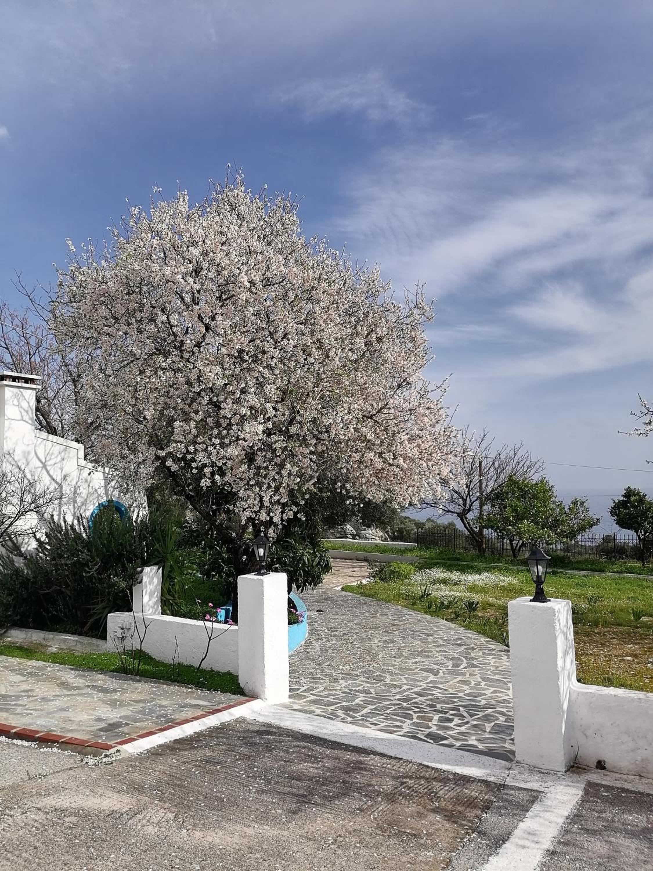 Studios Ioanna Limnionas Samos