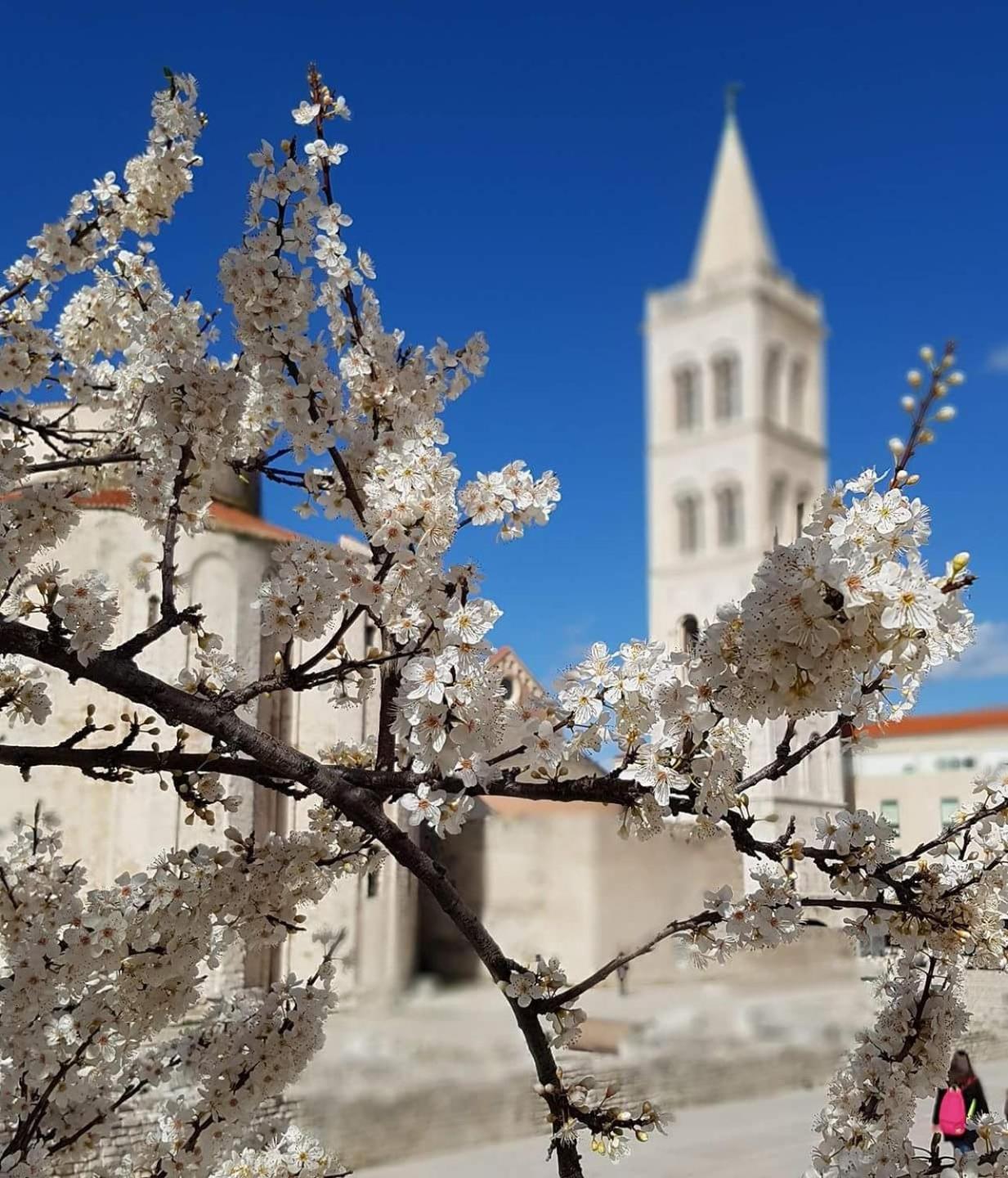 NEW! Apartment Jolie in Zadar - with free parking and terrace! view 5