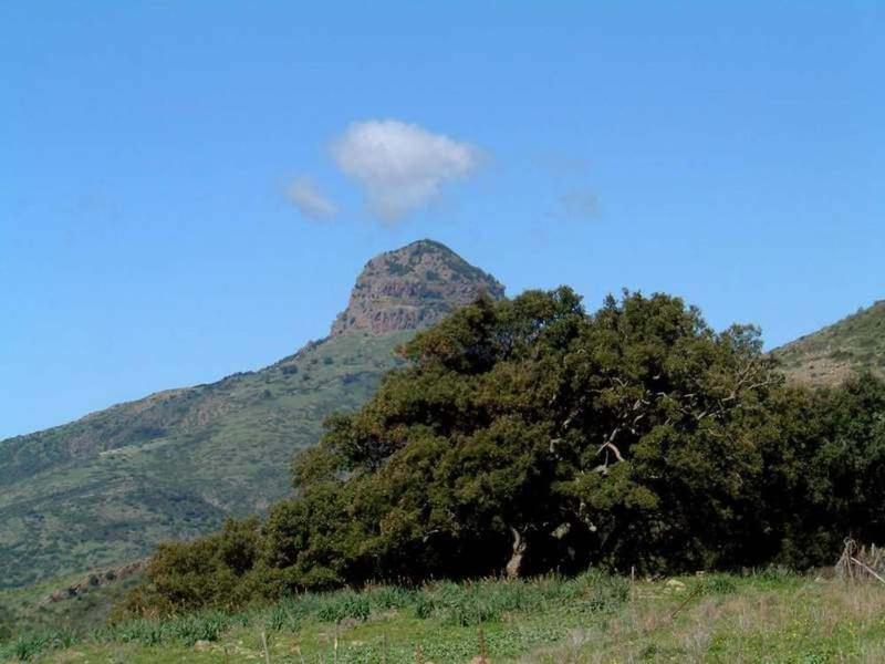 Turismo Rurale La Miniera Fiorita