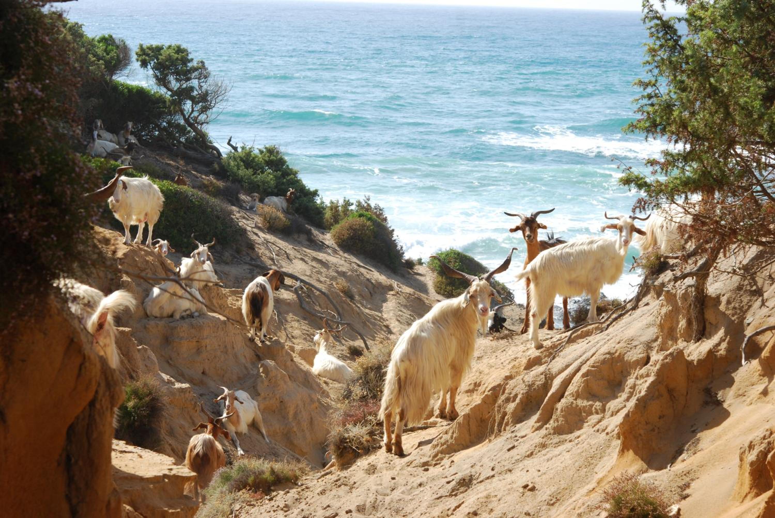 Turismo Rurale La Miniera Fiorita