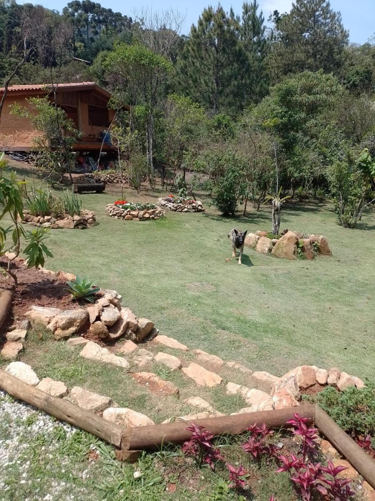 CHALÉS LUAR DO PICO view 4