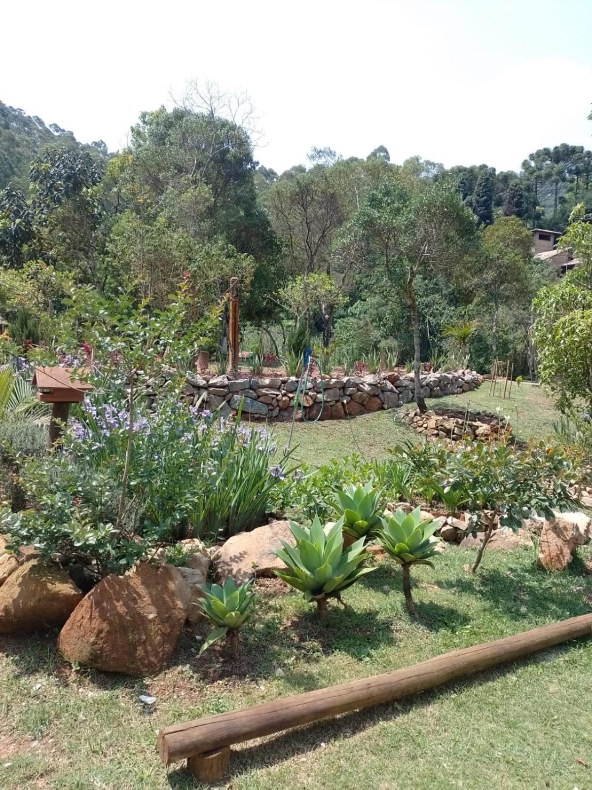 CHALÉS LUAR DO PICO view 5