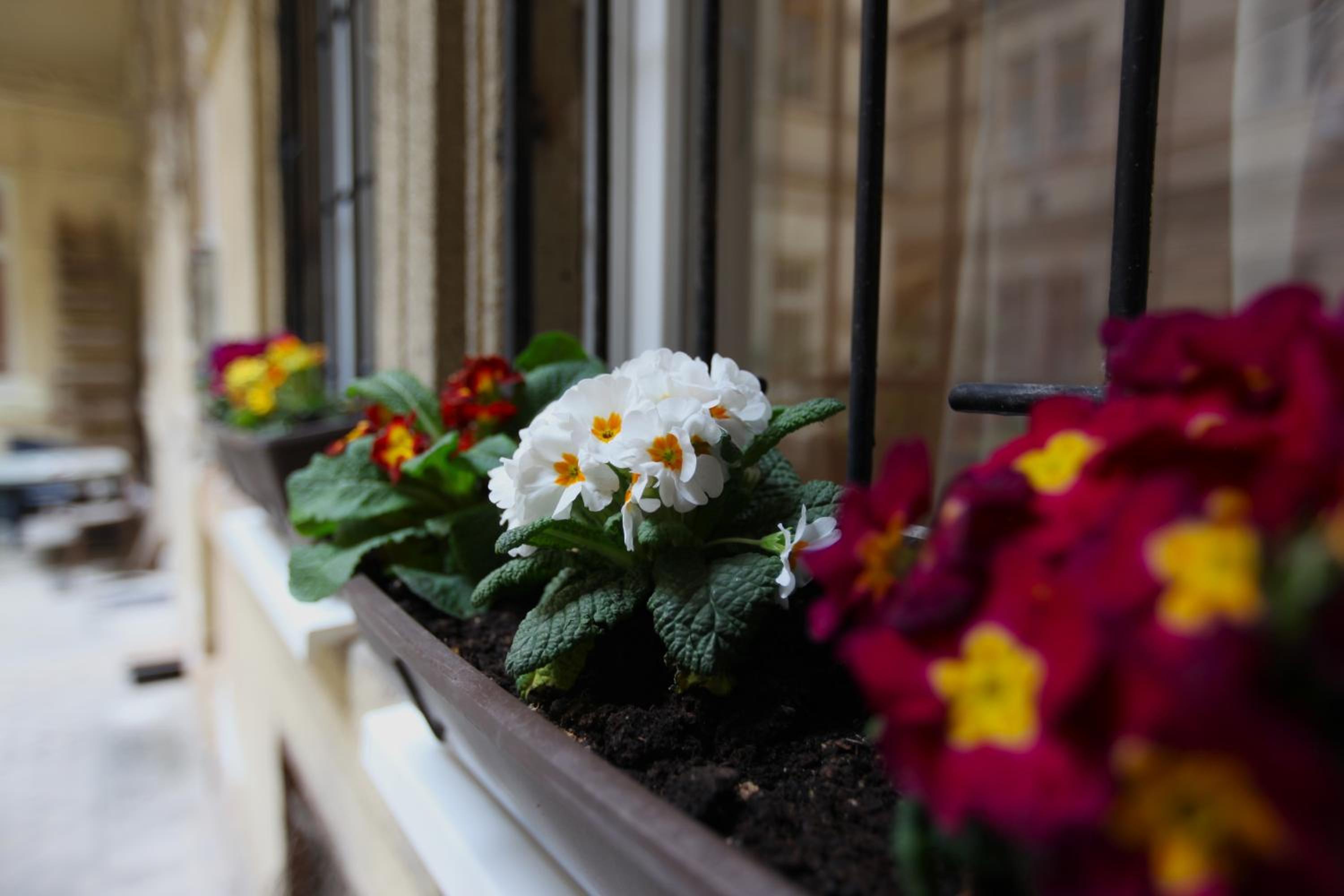 Goldcentral Apartment Danube-Private Terrace-Convenient Location