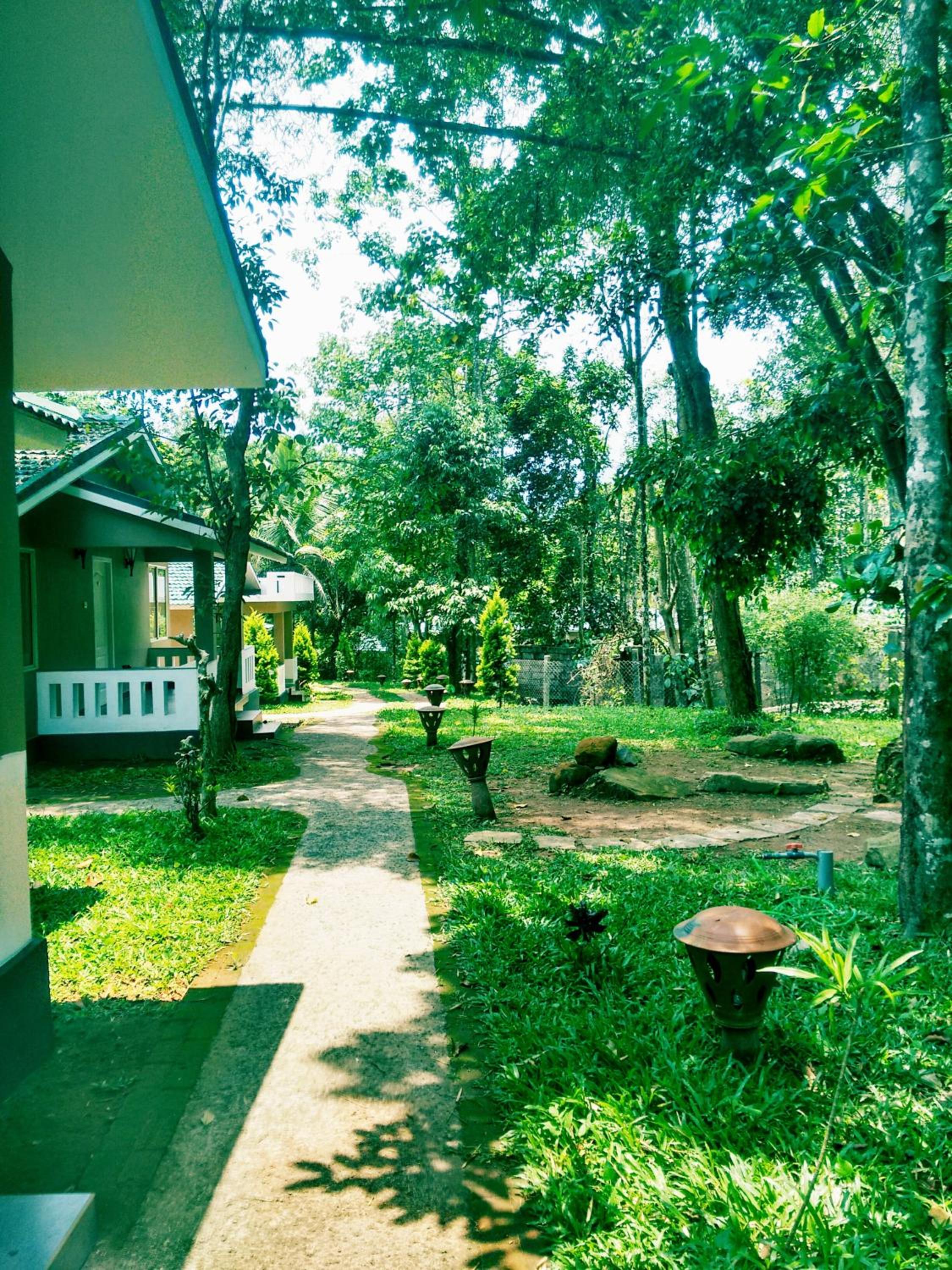 Photo 46