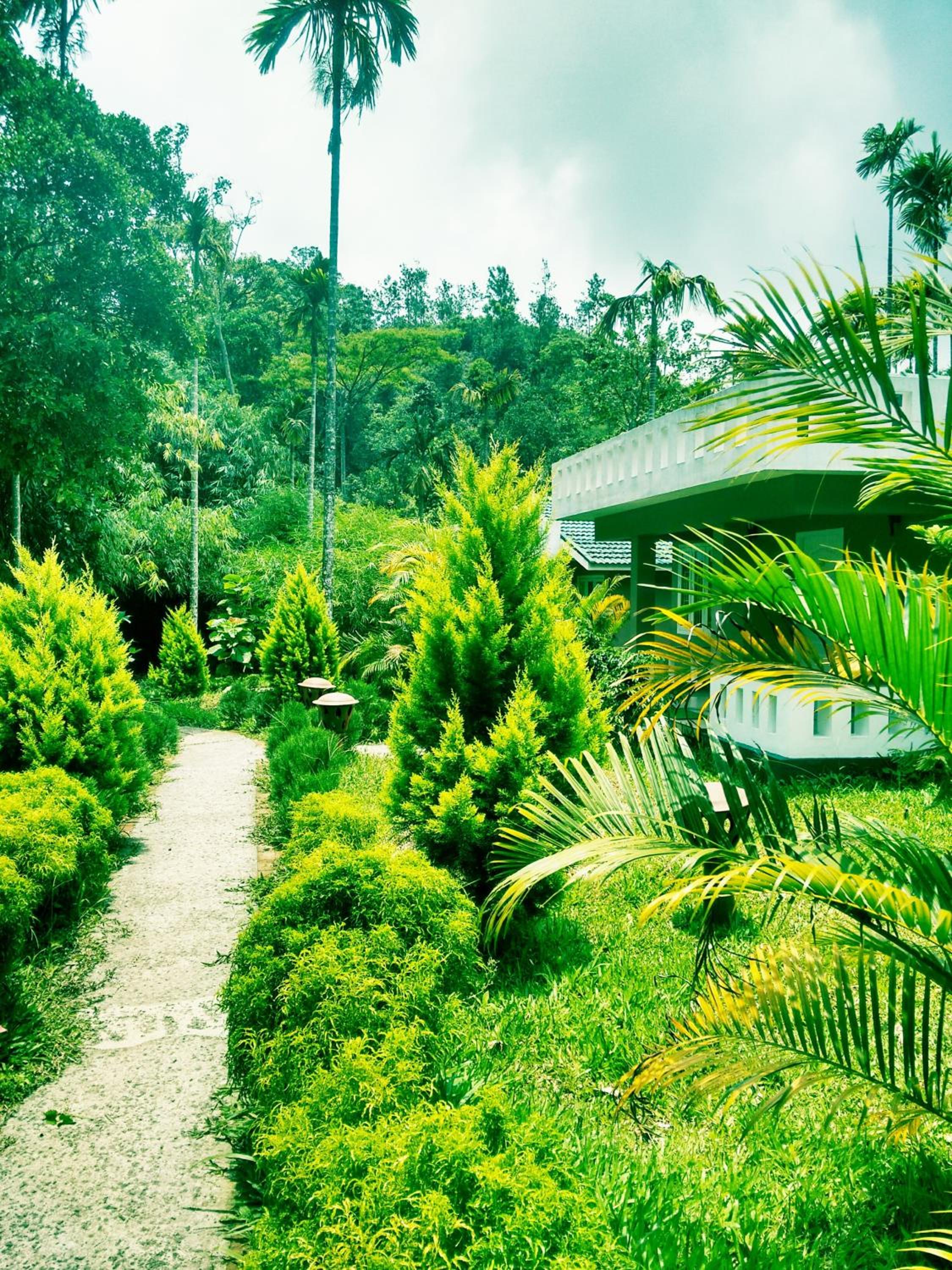 Photo 42