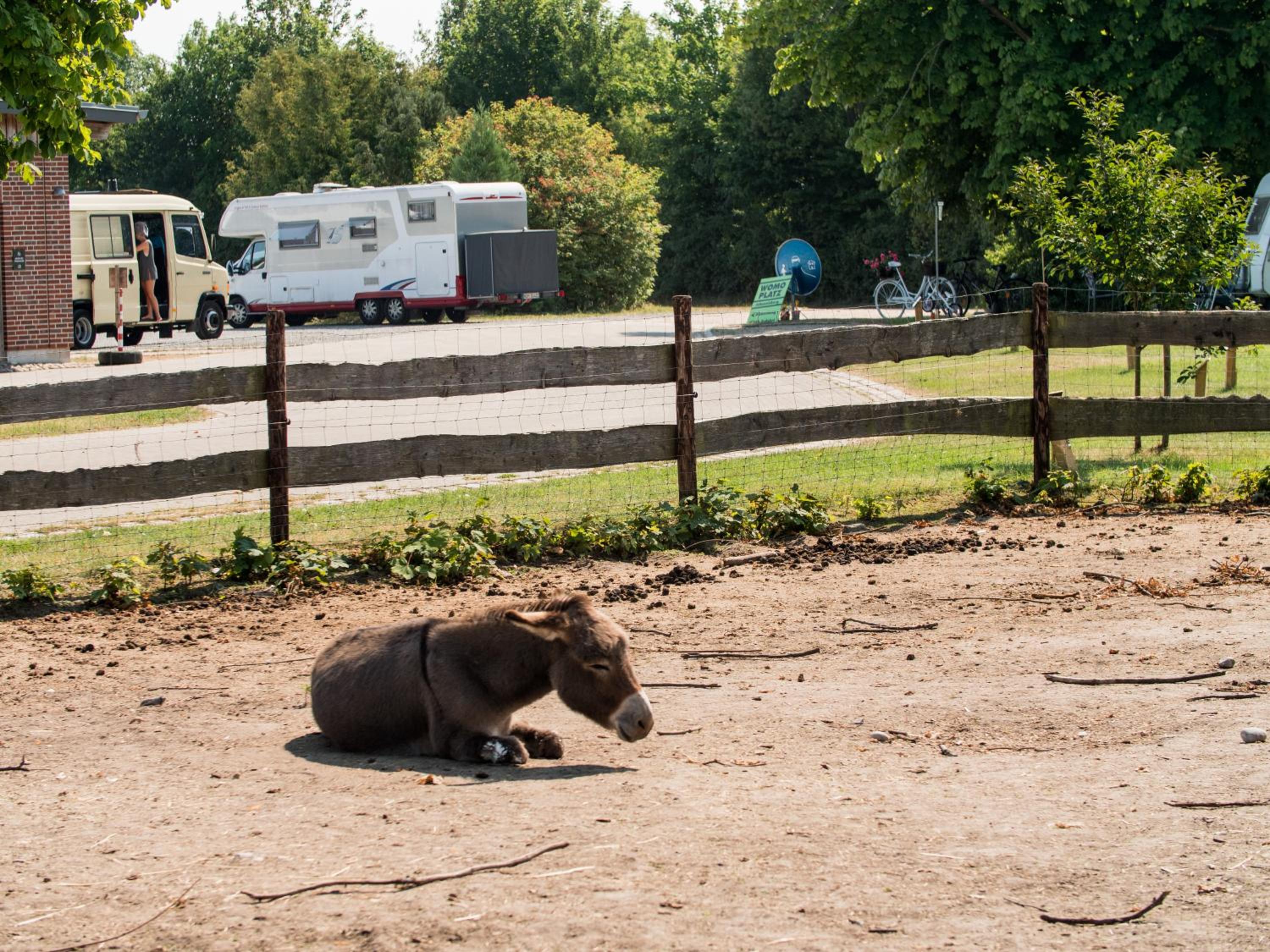 Campingplatz Johannisberg