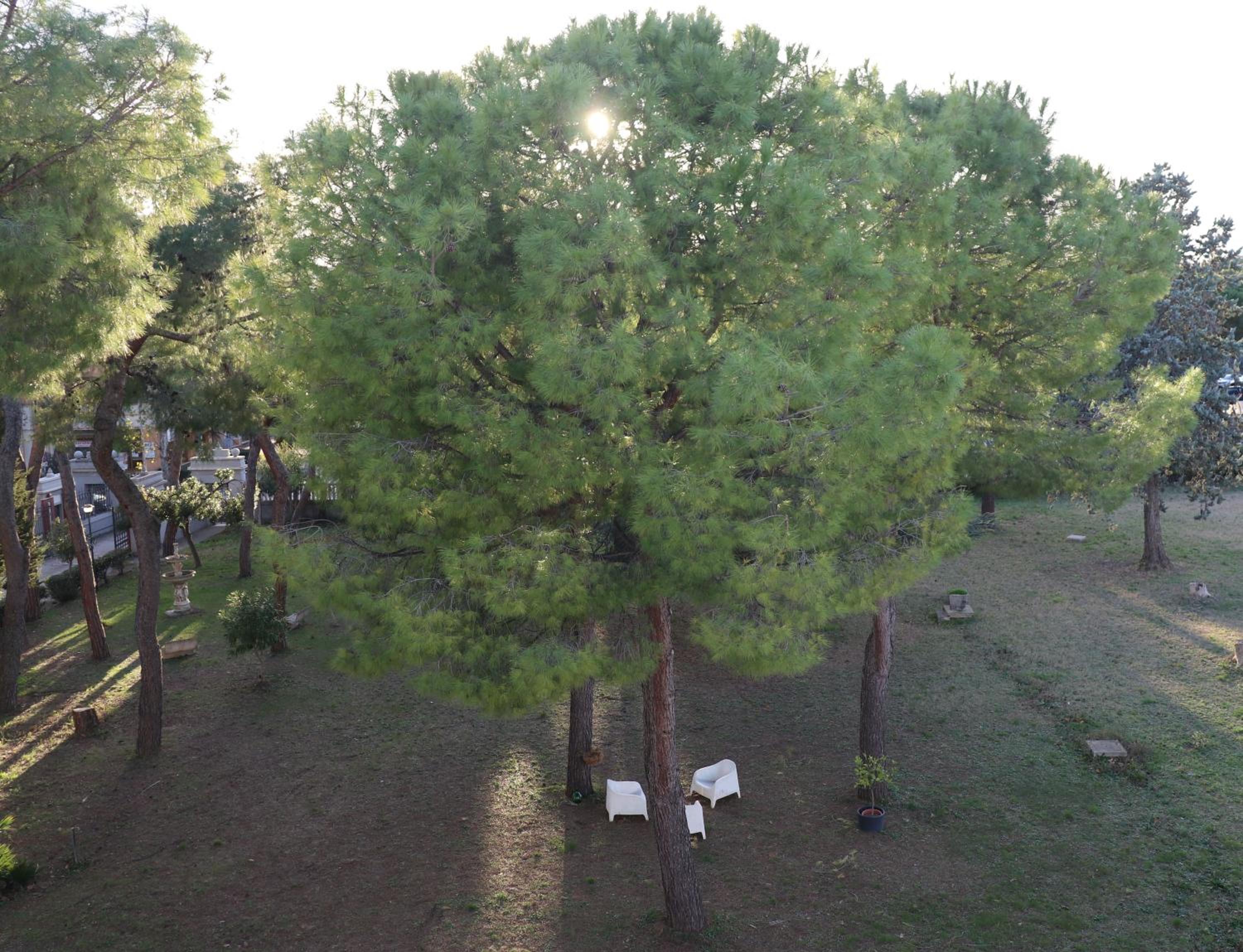 Photo 33