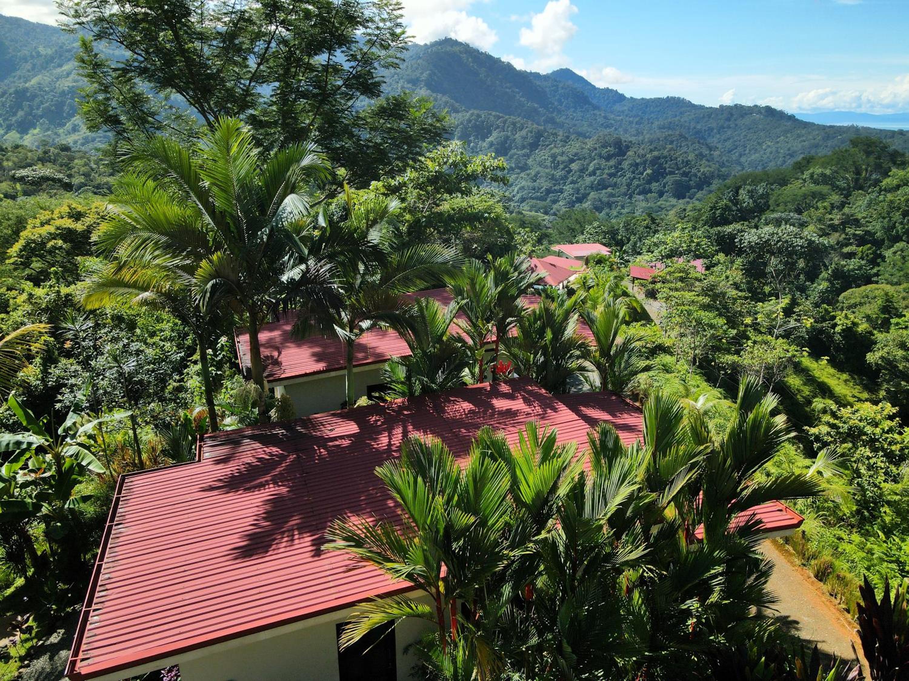 Nature's Edge Boutique Hotel