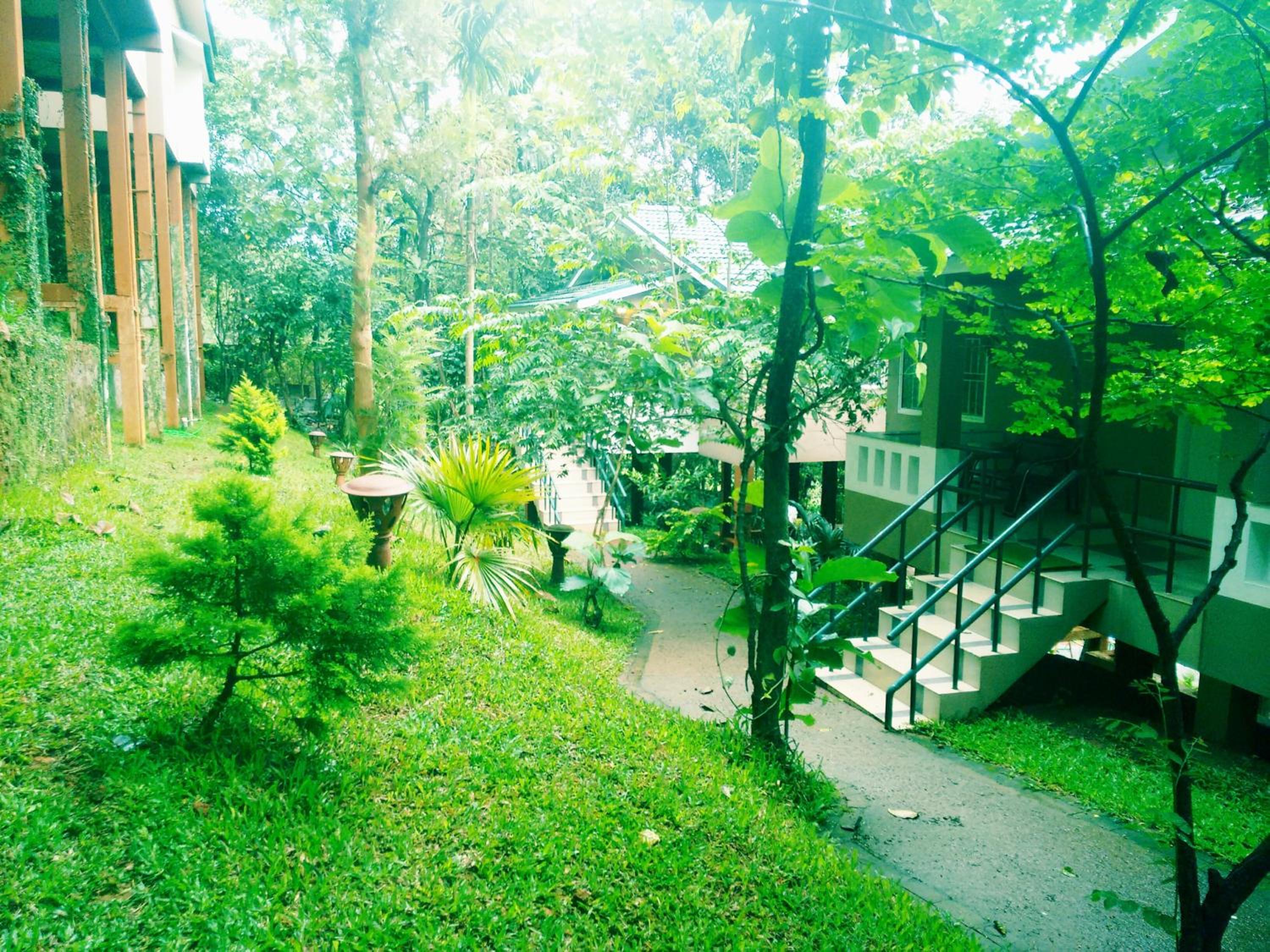 Photo 52
