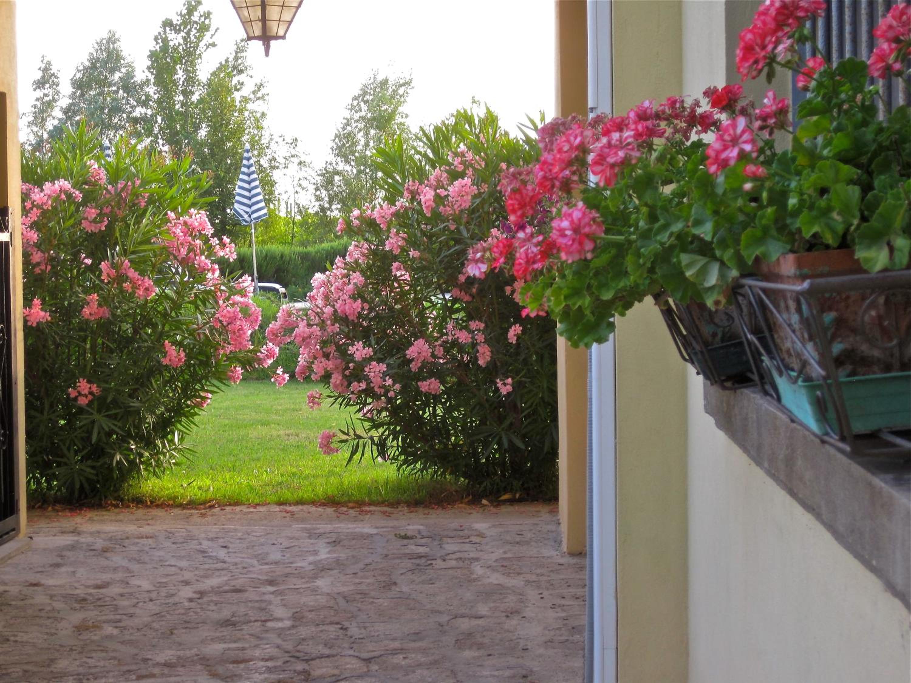 Agriturismo Corte Carezzabella