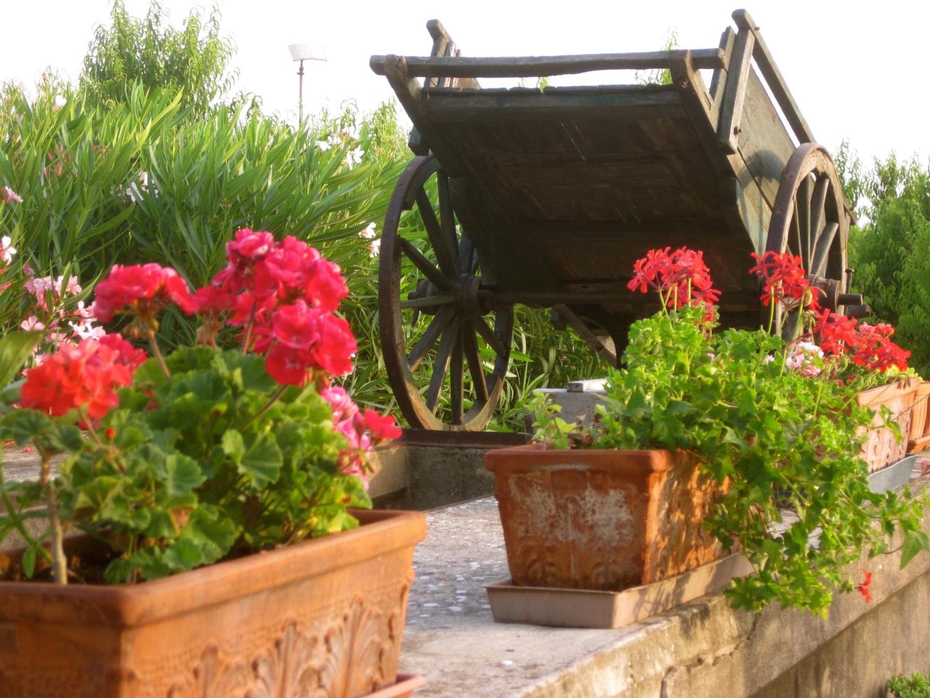 Agriturismo Corte Carezzabella