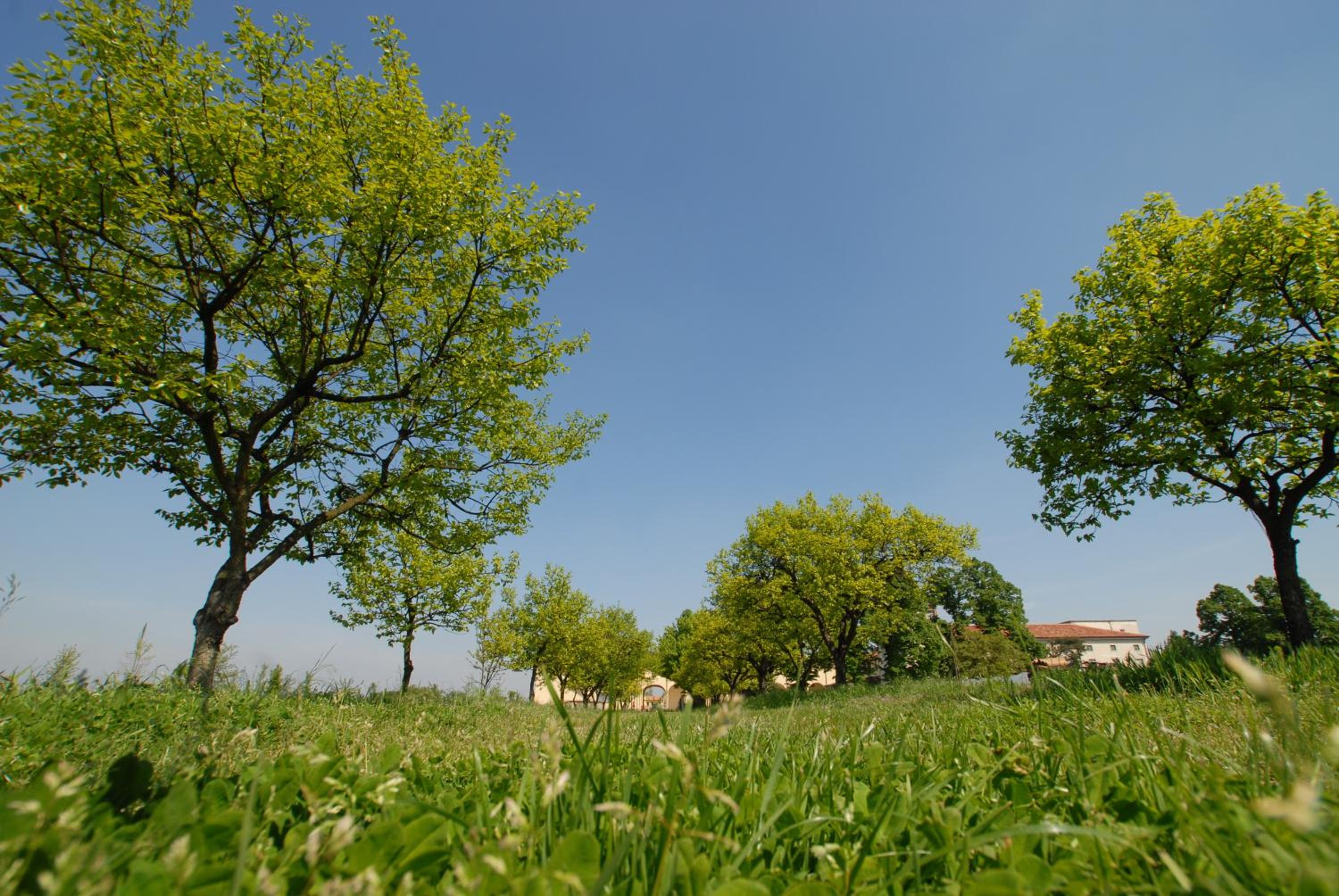 Agriturismo Corte Carezzabella